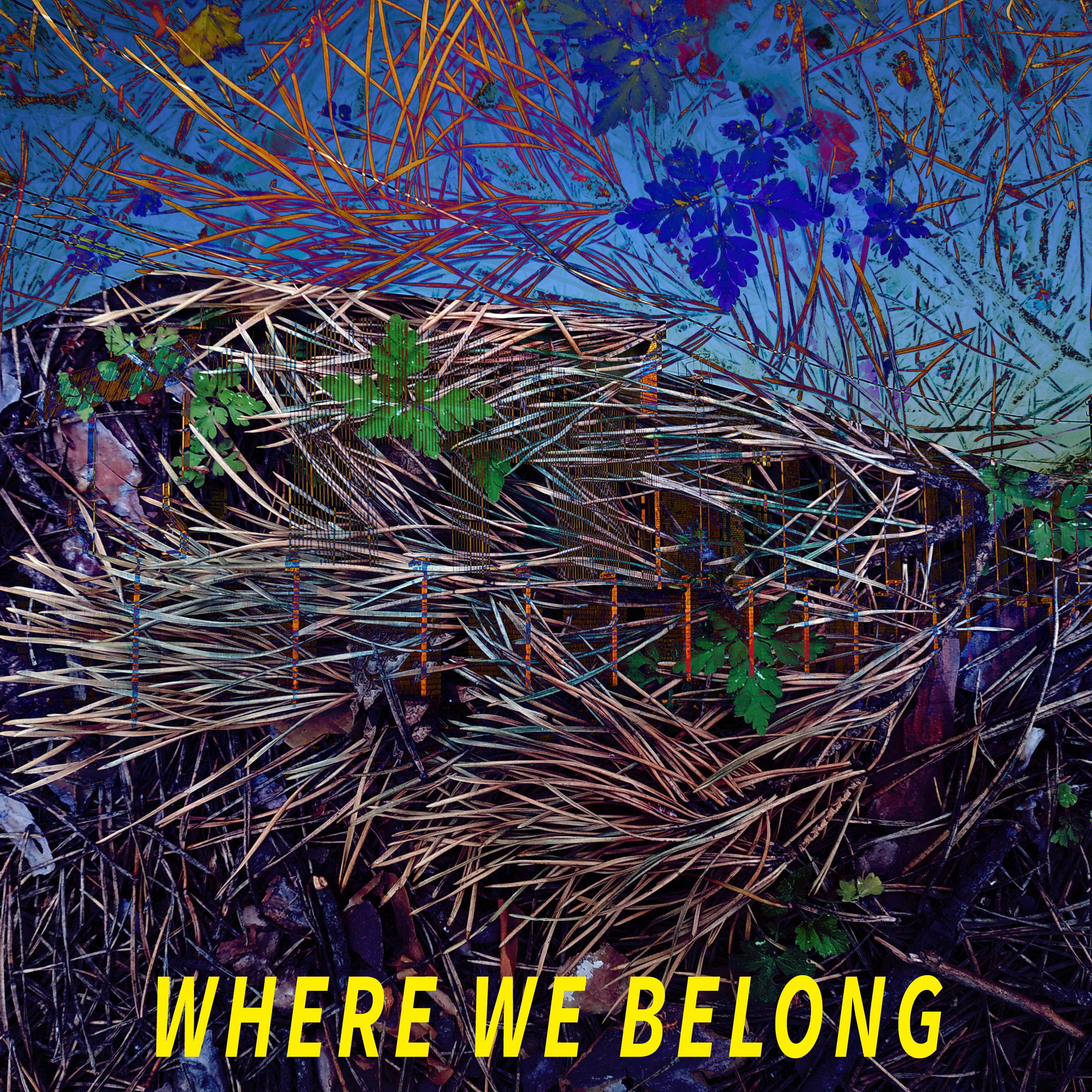 Постер альбома Where We Belong