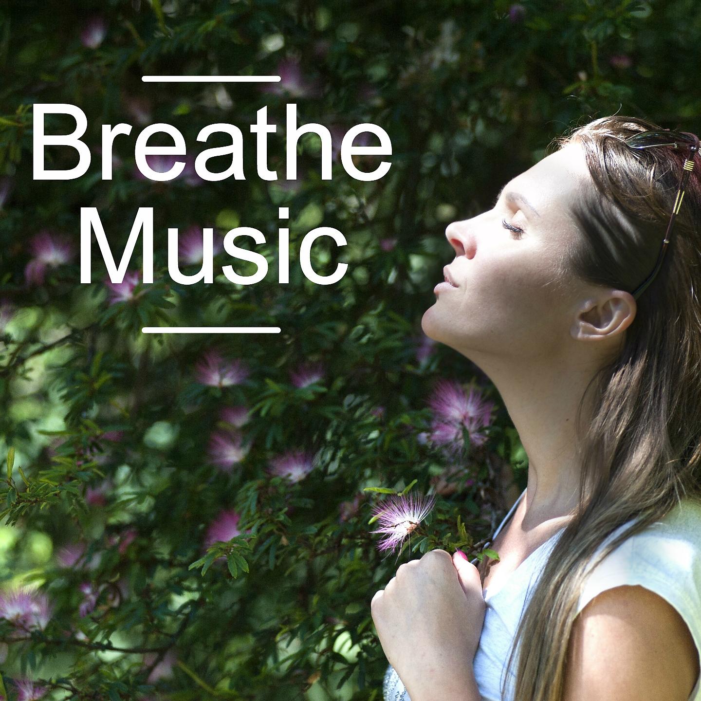 Постер альбома Breathe Music