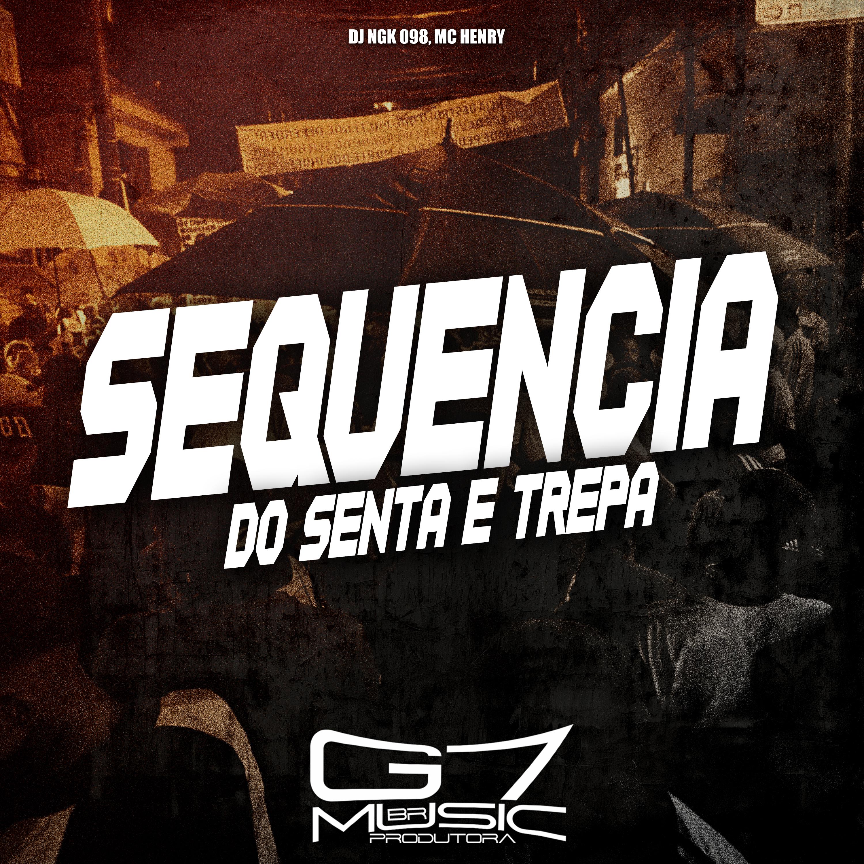 Постер альбома Sequência do Senta e Trepa
