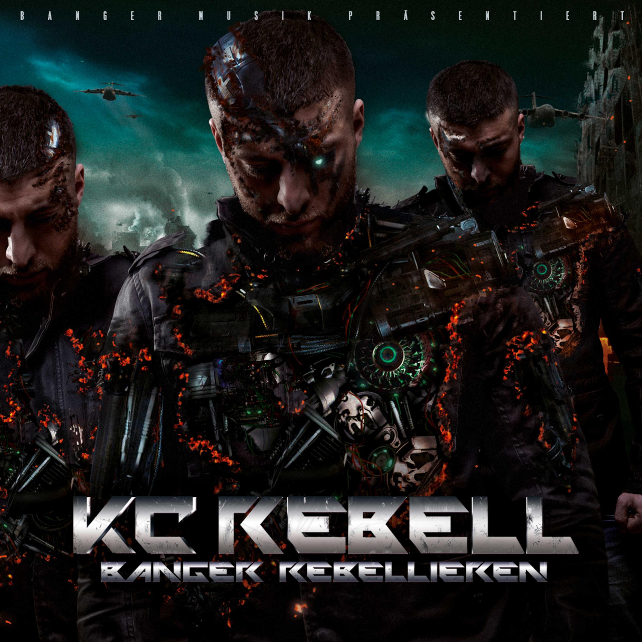 Постер альбома Banger rebellieren