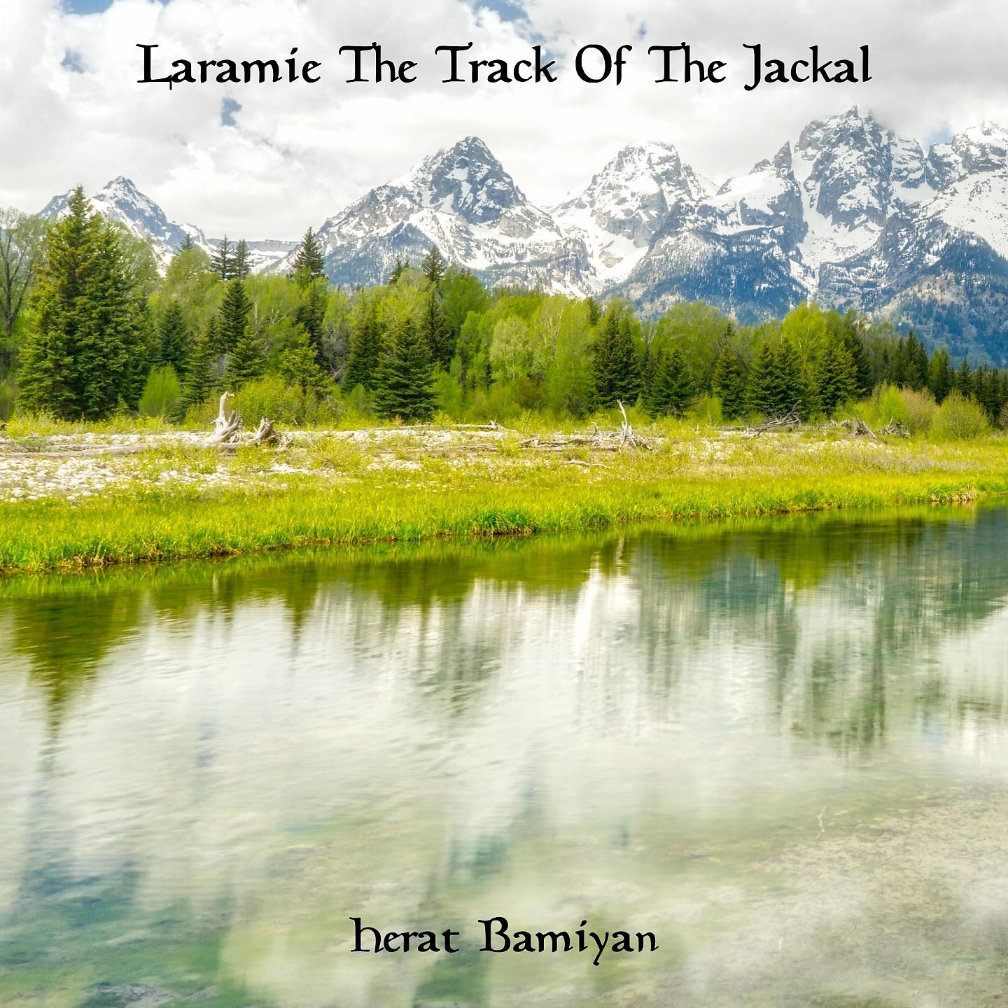 Постер альбома Laramie The Track Of The Jackal