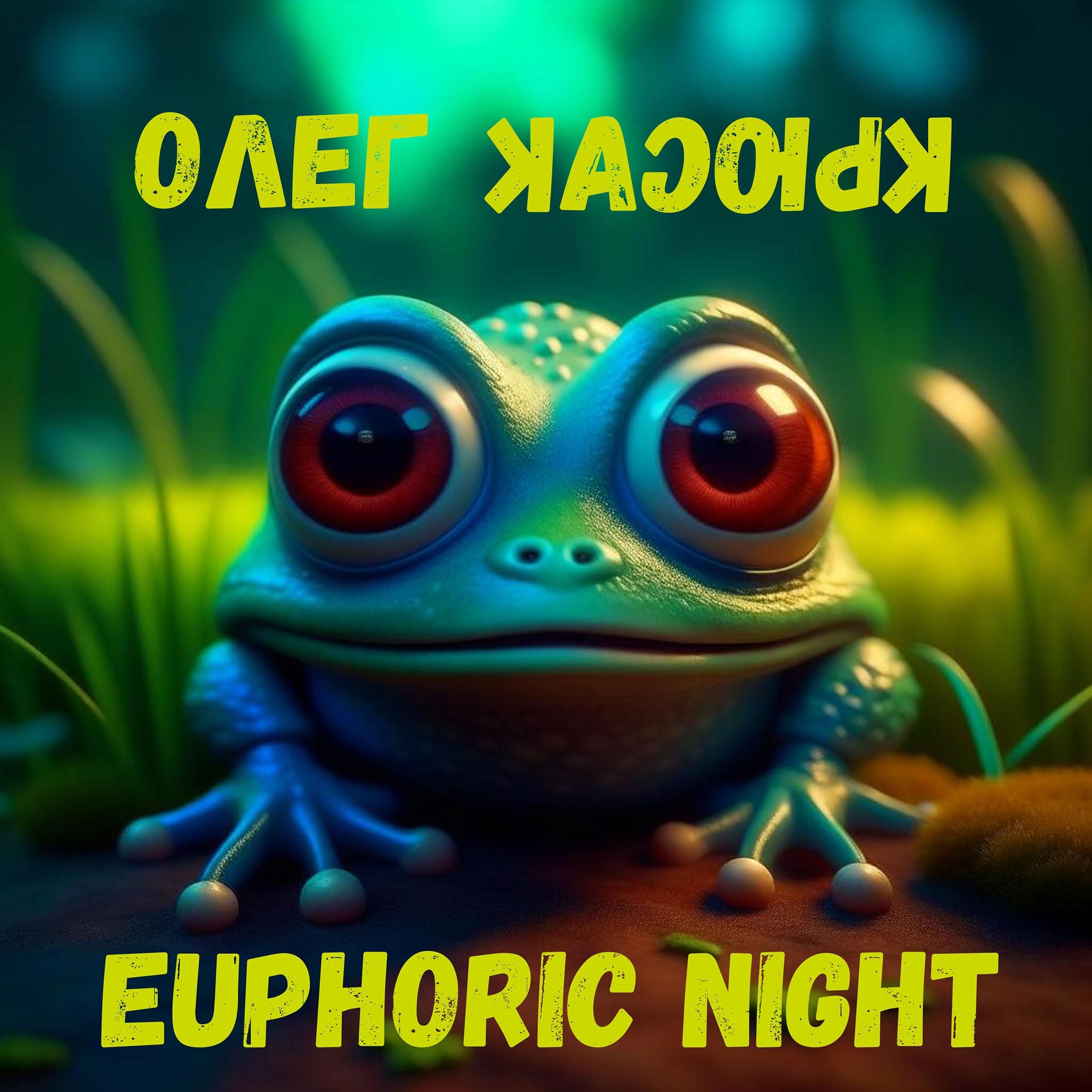 Постер альбома Euphoric night