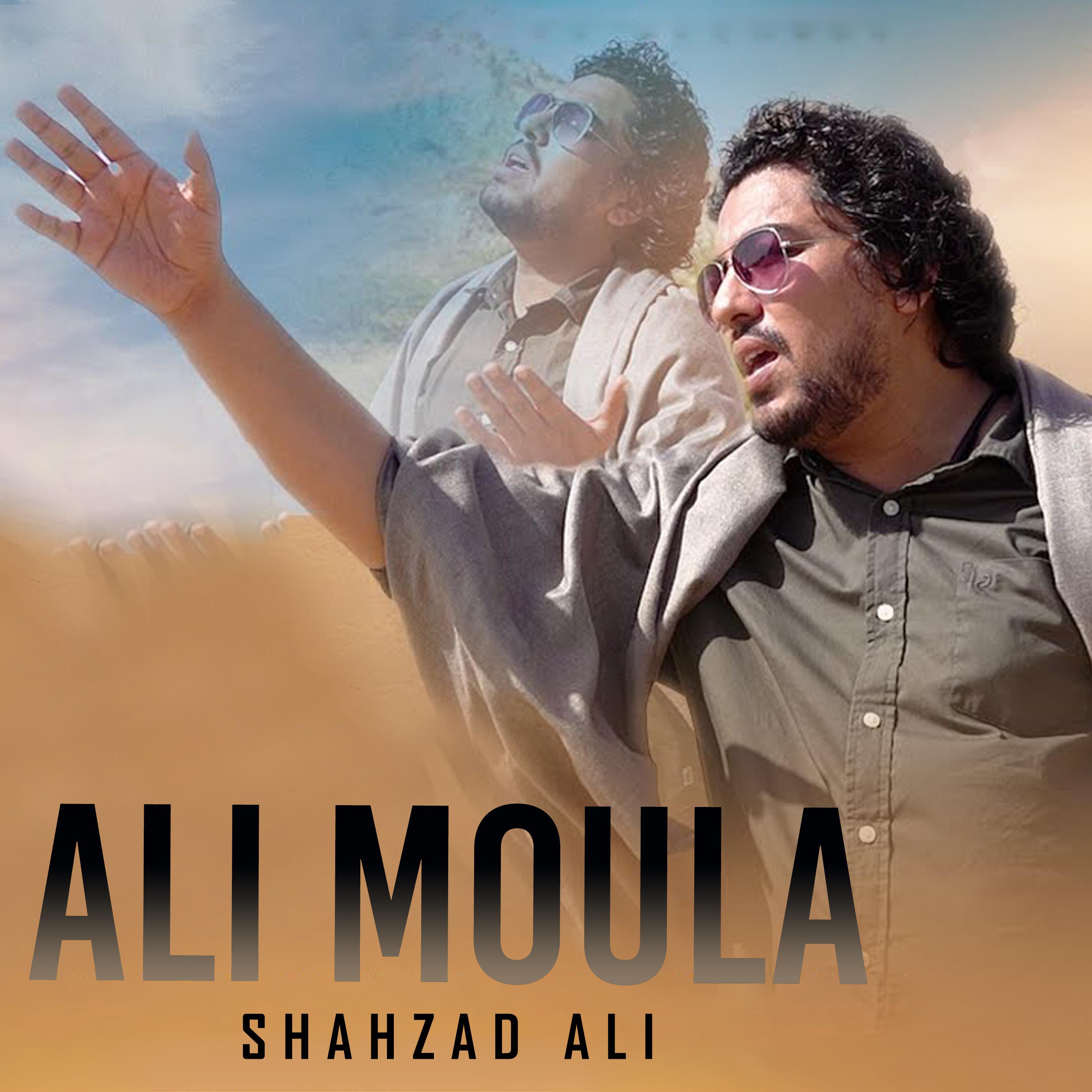 Постер альбома Ali Moula