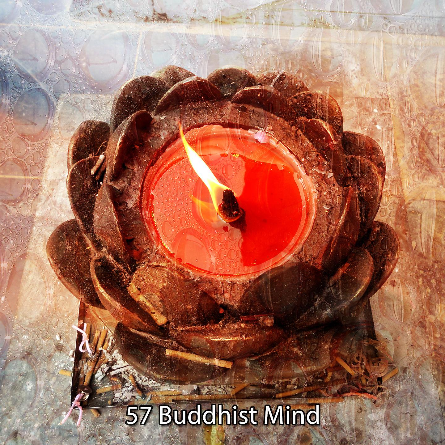 Постер альбома 57 Буддийский разум