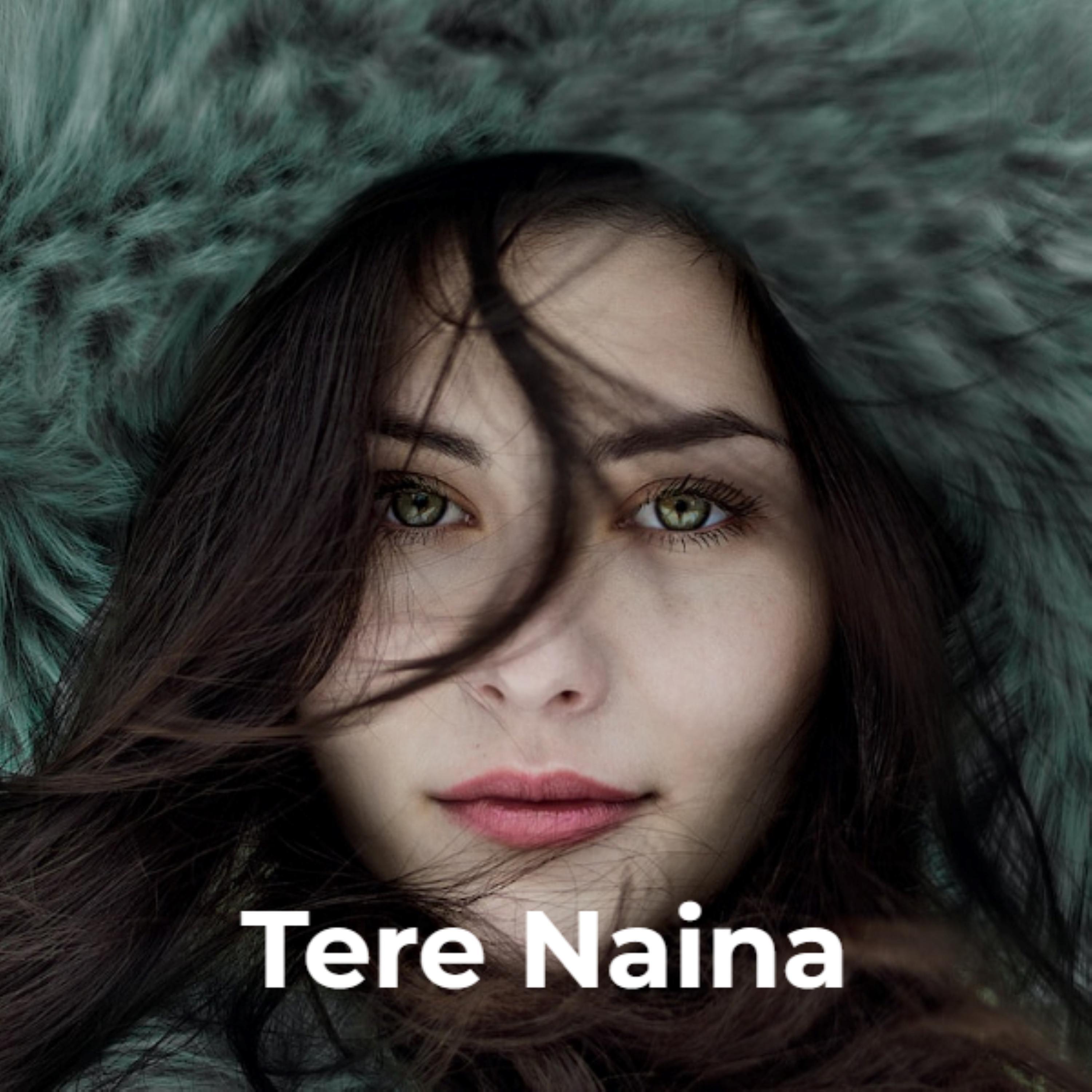 Постер альбома Tere Naina