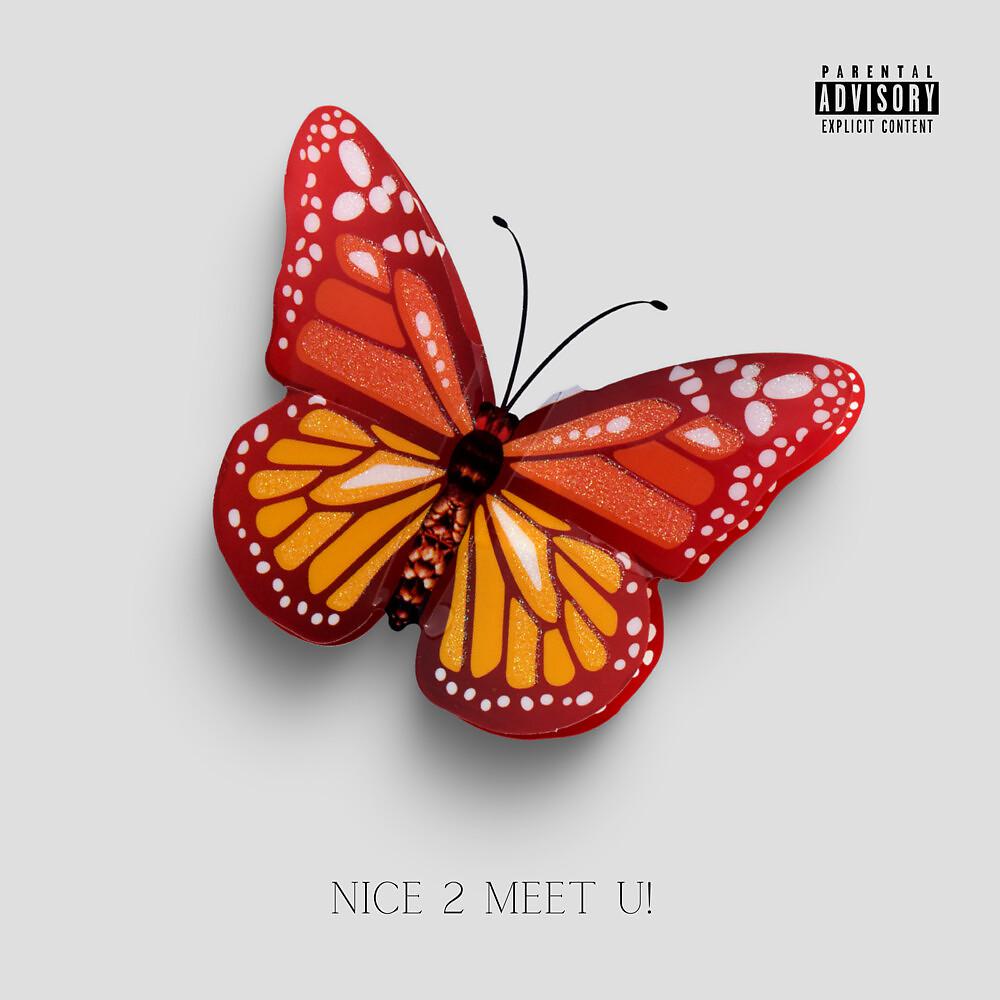 Постер альбома Nice 2 Meet U!