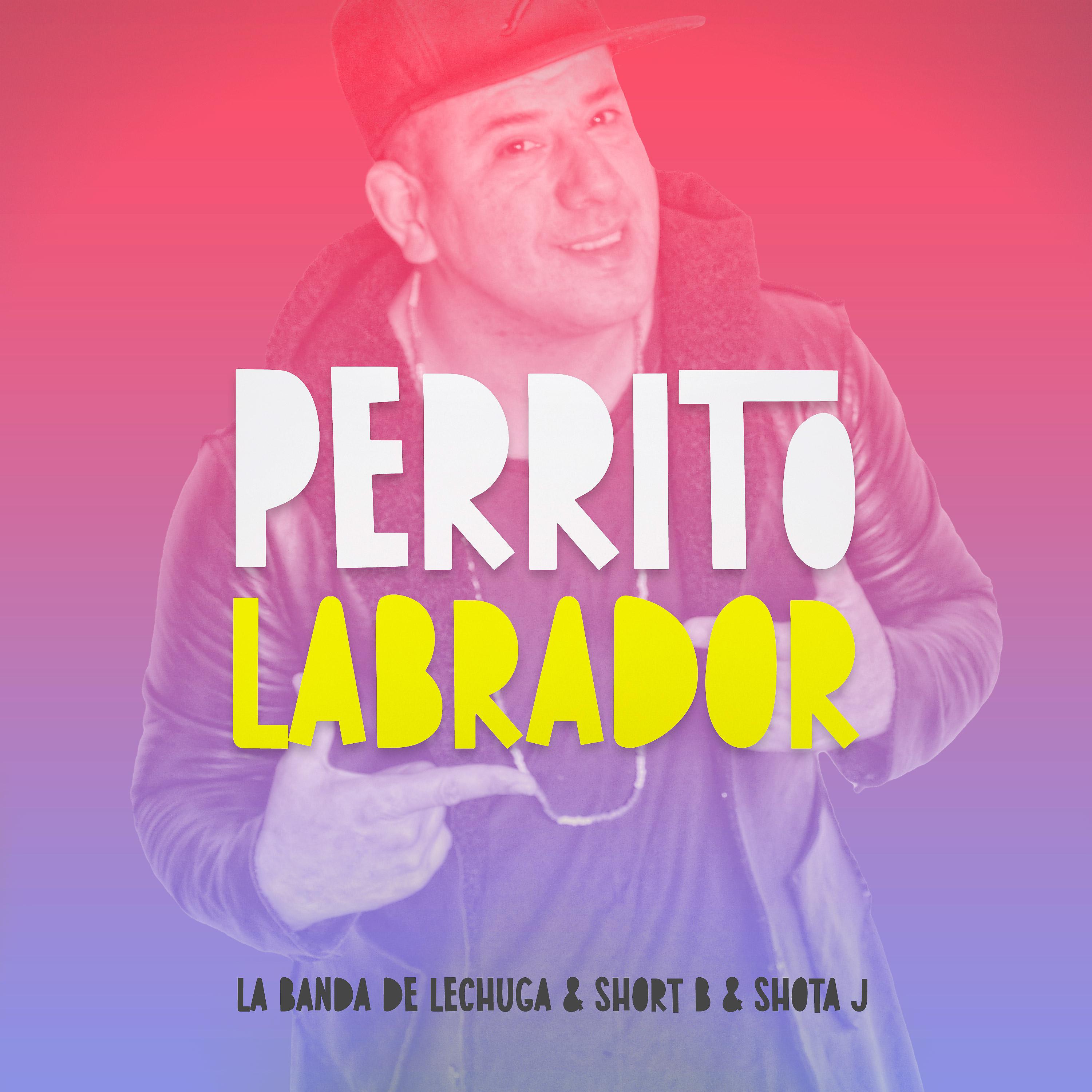 Постер альбома Perrito Labrador