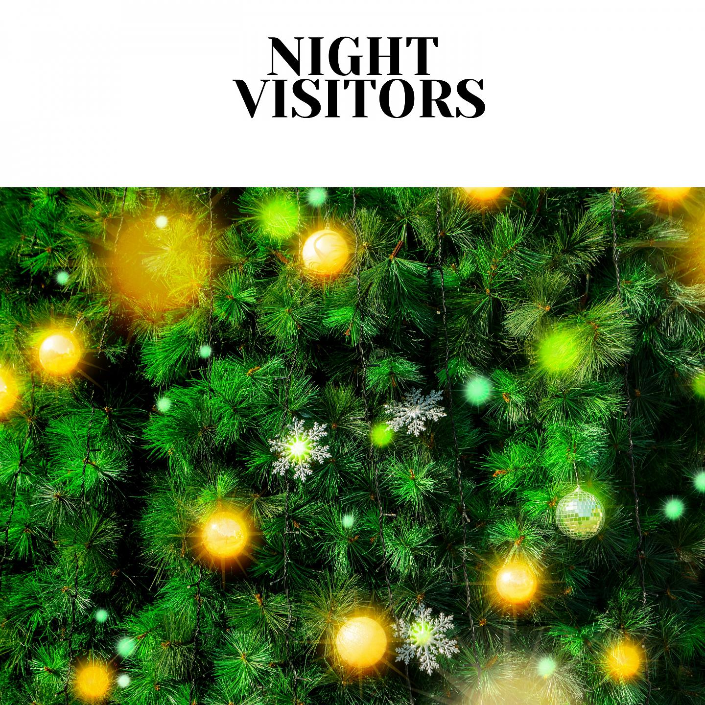 Постер альбома Night Visitors