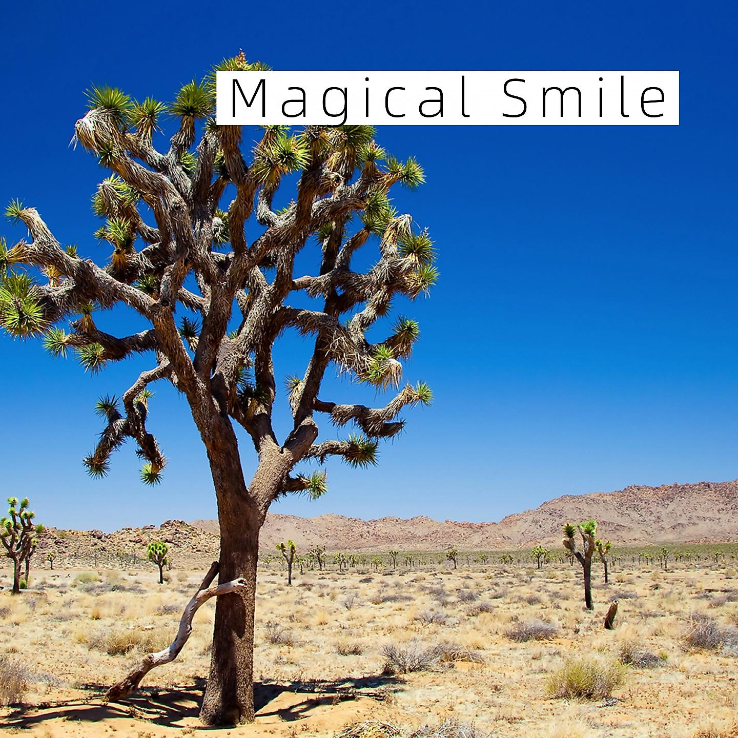 Постер альбома Magical Smile