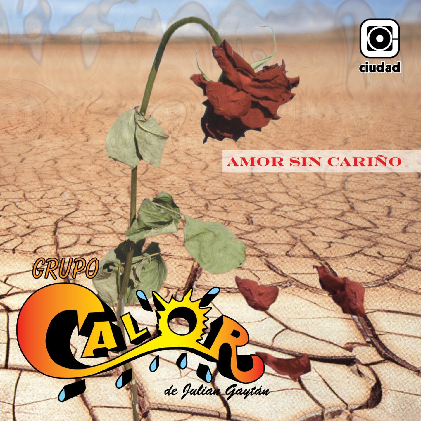 Постер альбома Amor Sin Cariño