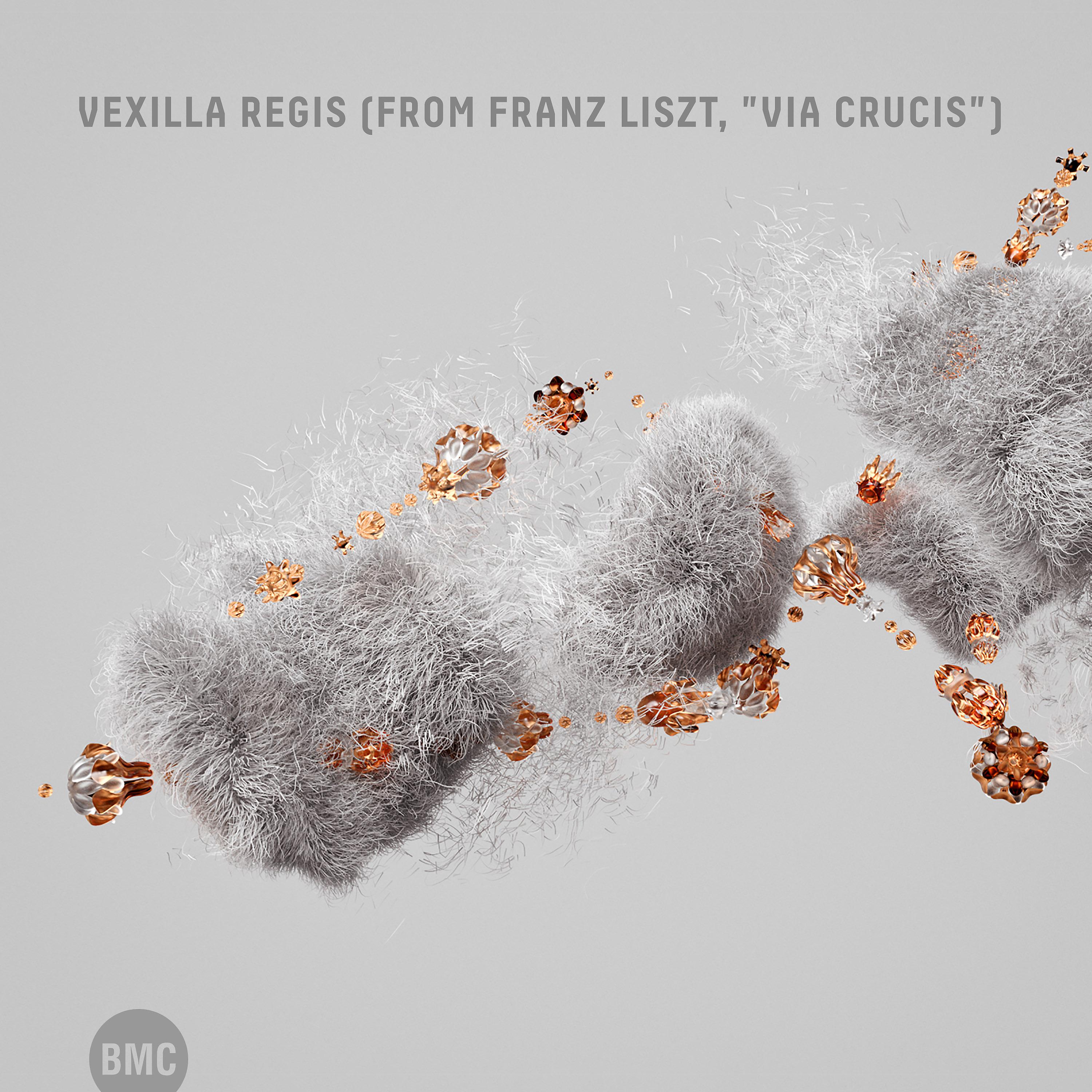 Постер альбома Vexilla Regis (From Franz Liszt, "Via Crucis")