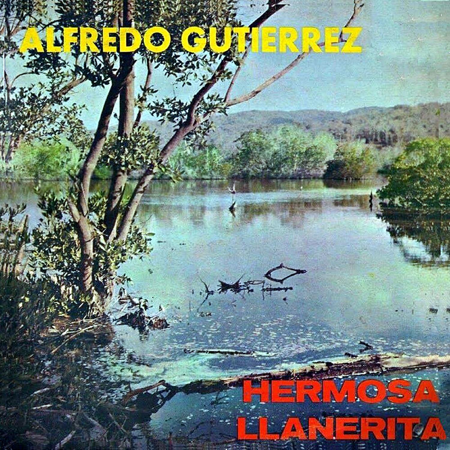 Постер альбома Hermosa llanerita