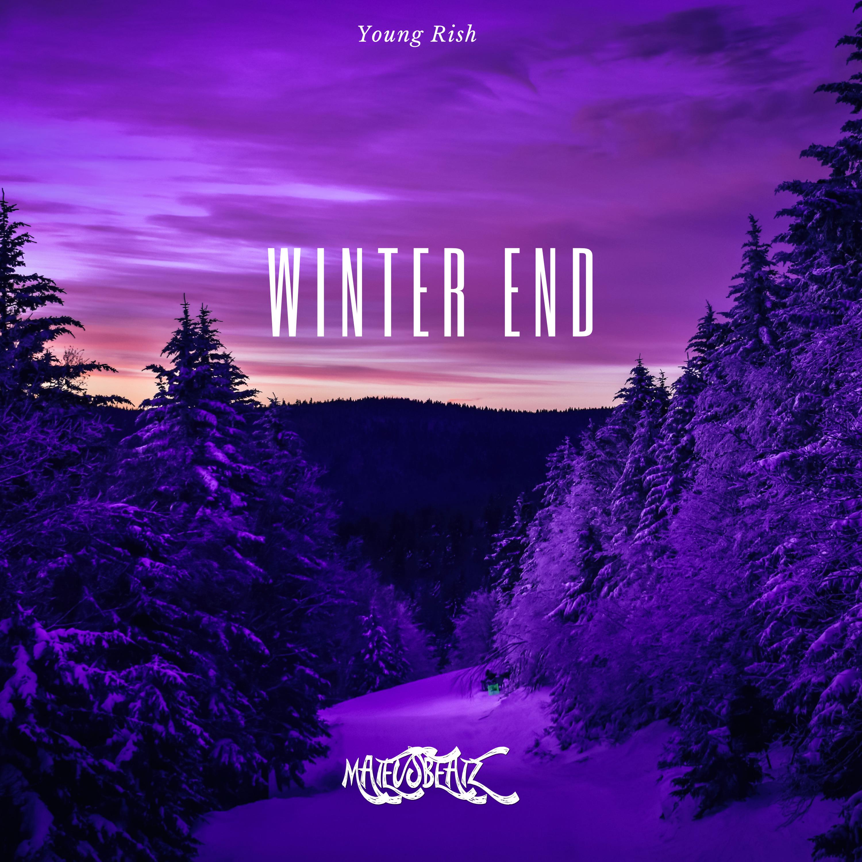 Постер альбома Winter End
