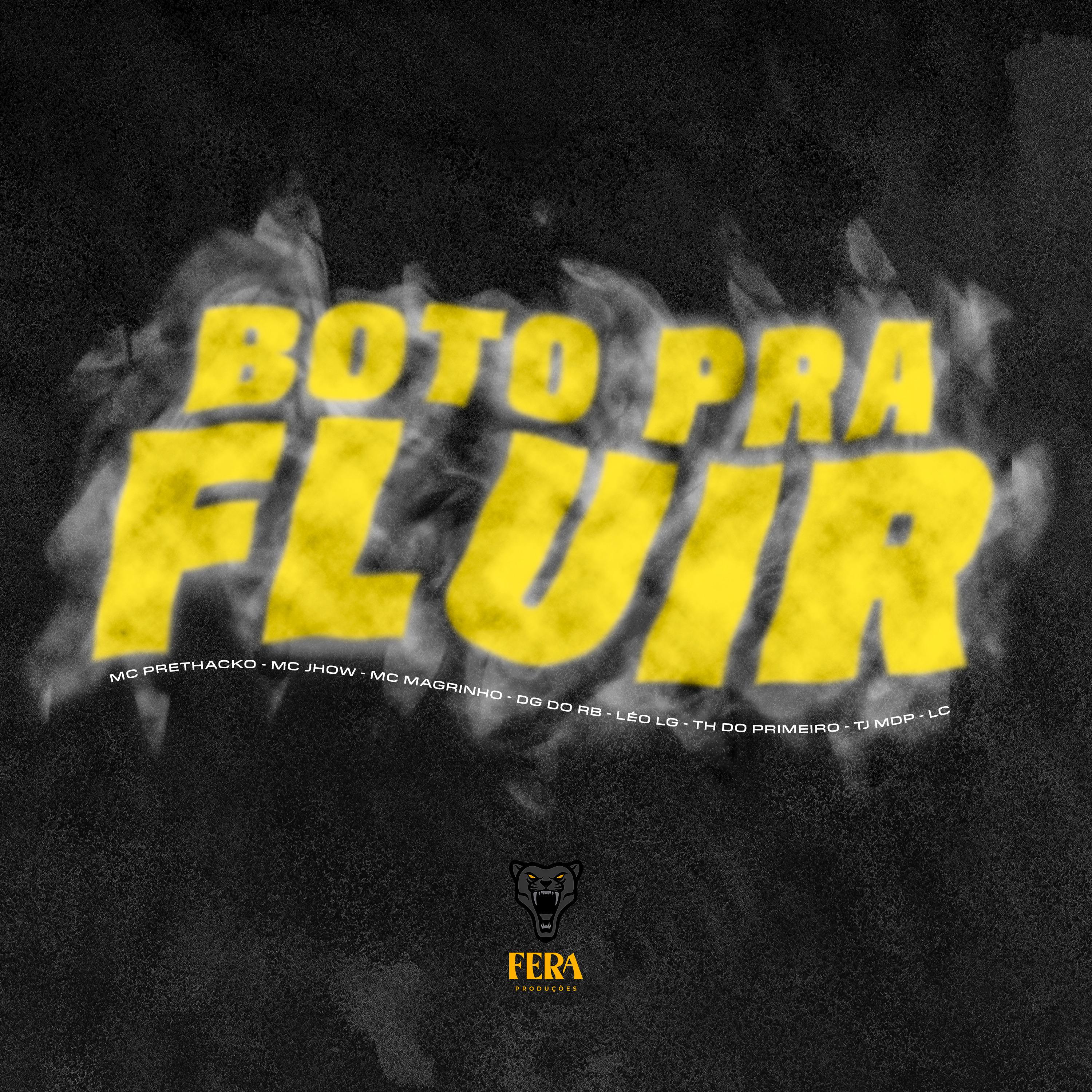 Постер альбома Boto pra Fluir