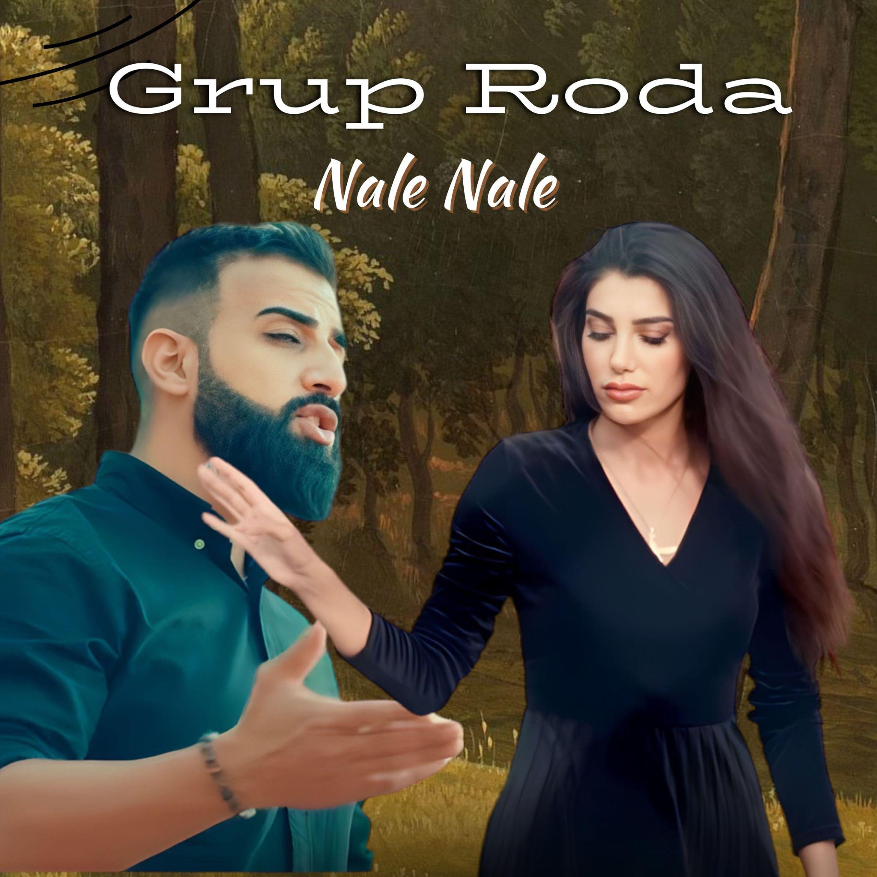 Постер альбома Nale Nale
