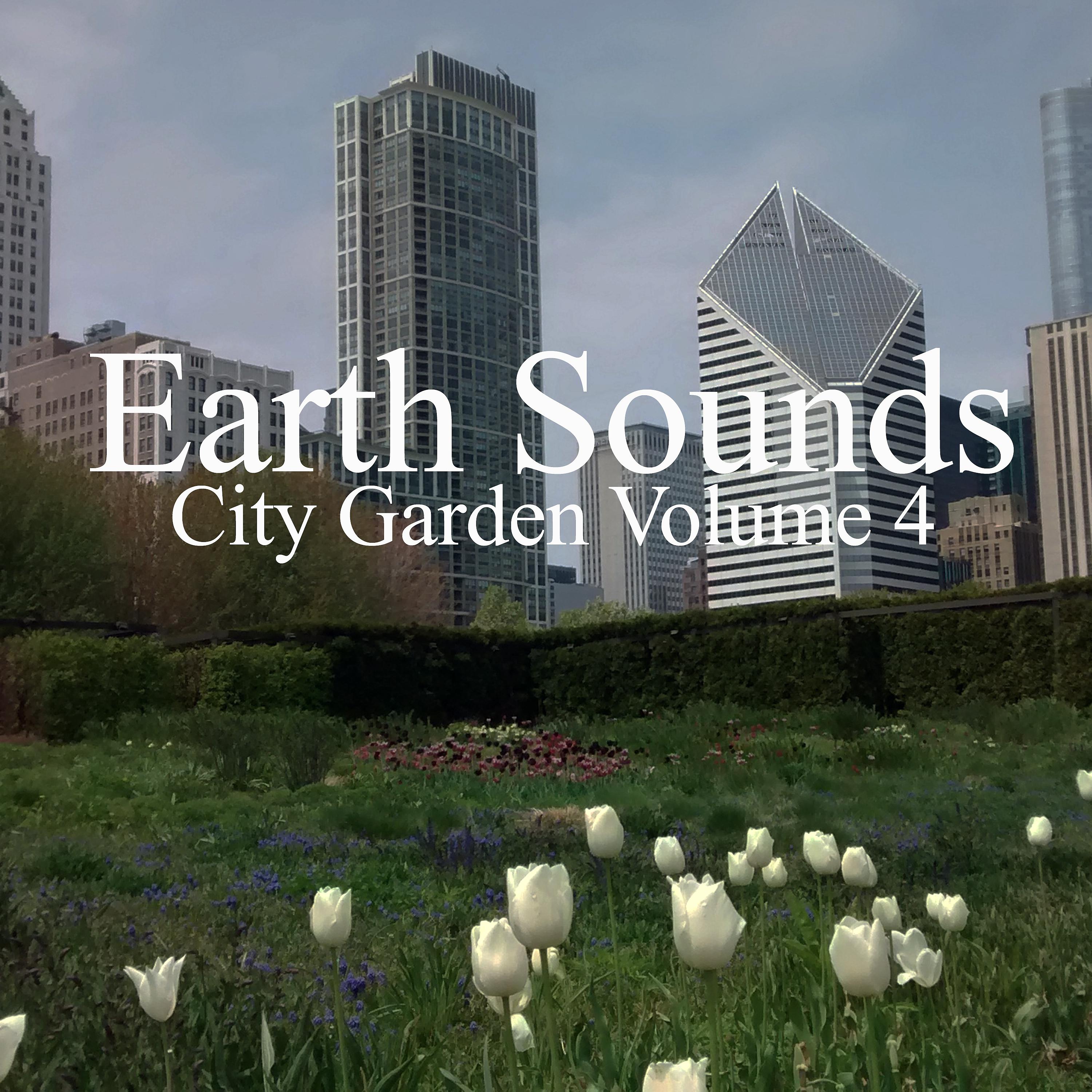 Постер альбома City Garden Volume 4