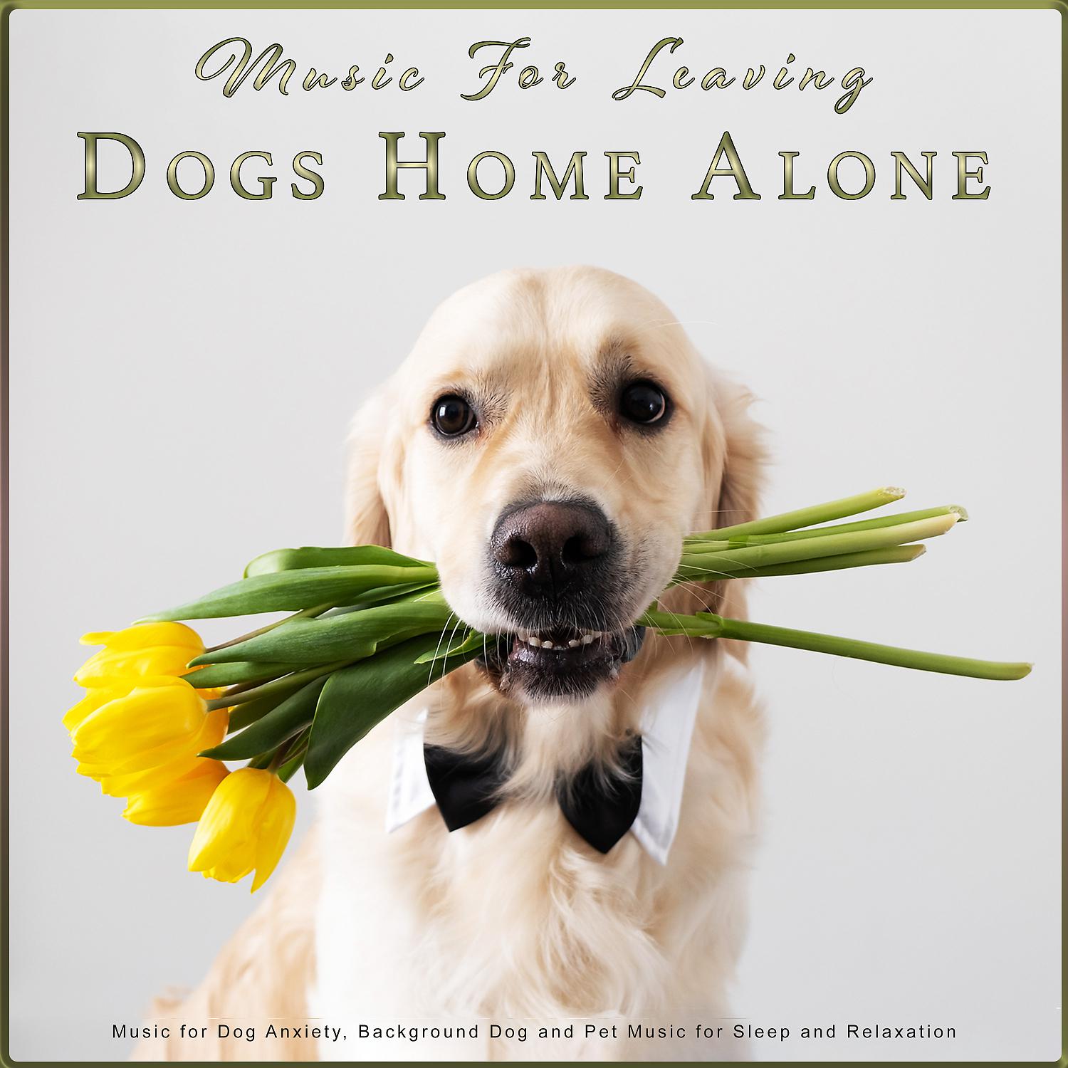 Постер альбома Music For Leaving Dogs Home Alone: Music for Dog Anxiety, Background Dog and Pet Music for Sleep and Relaxation
