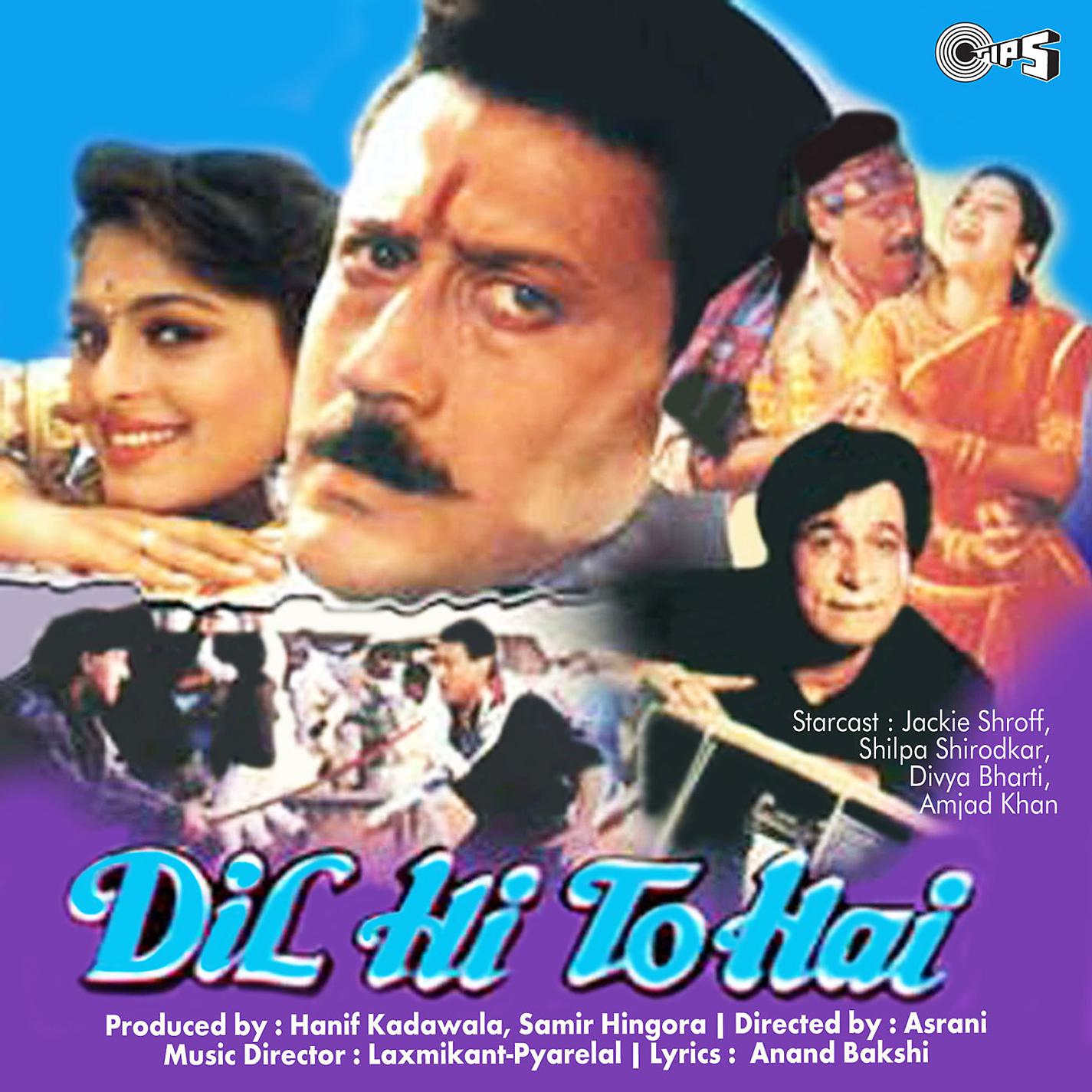 Постер альбома Dil Hi To Hai (Original Motion Picture Soundtrack)
