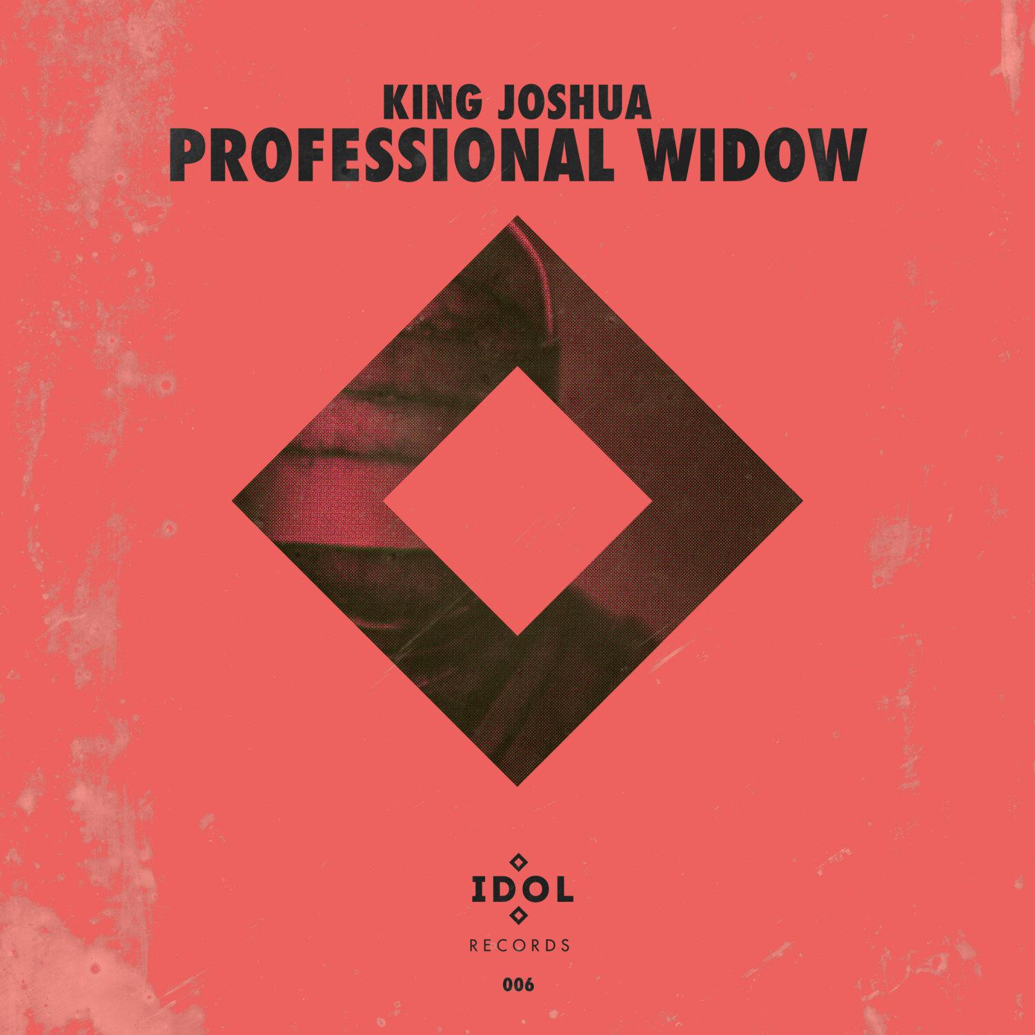 Постер альбома Professional Widow