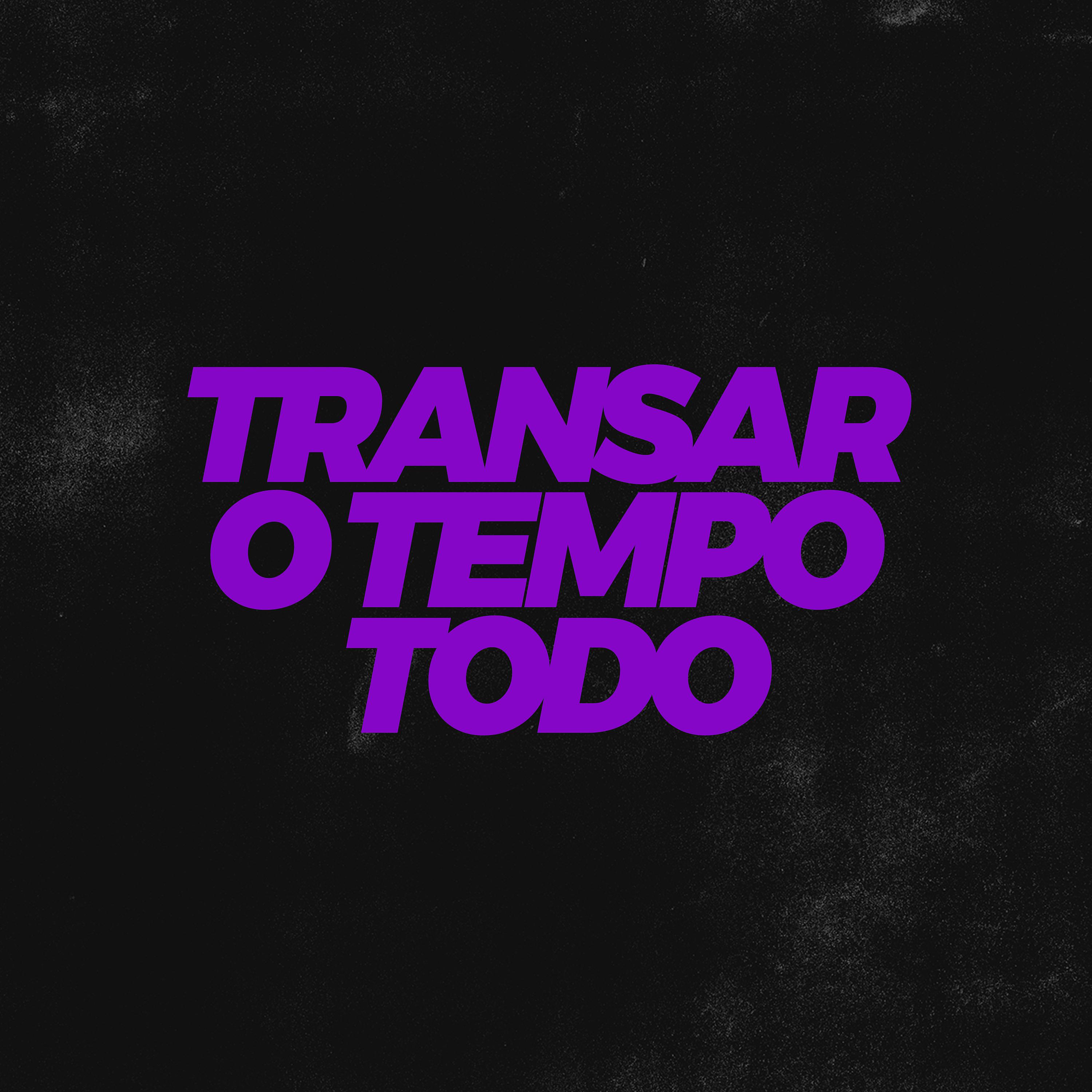Постер альбома Transar o Tempo Todo
