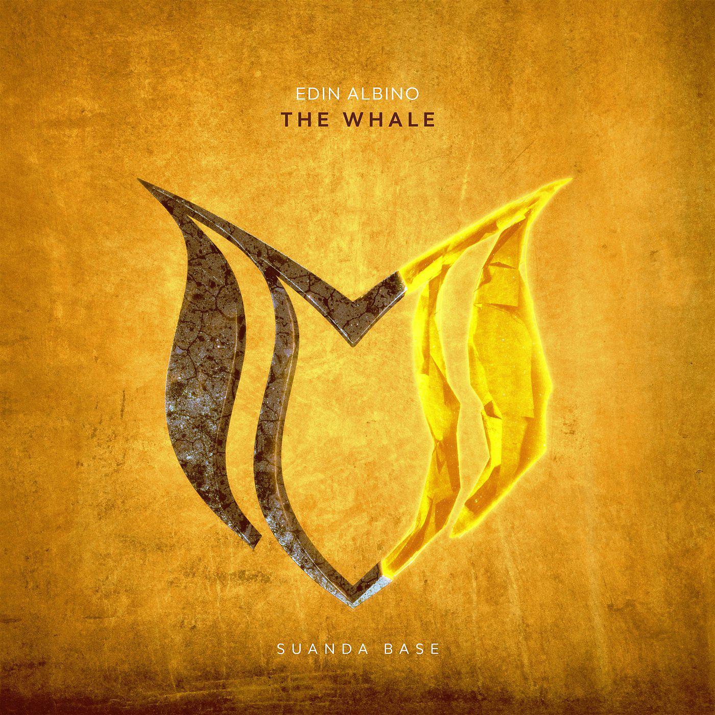 Постер альбома The Whale