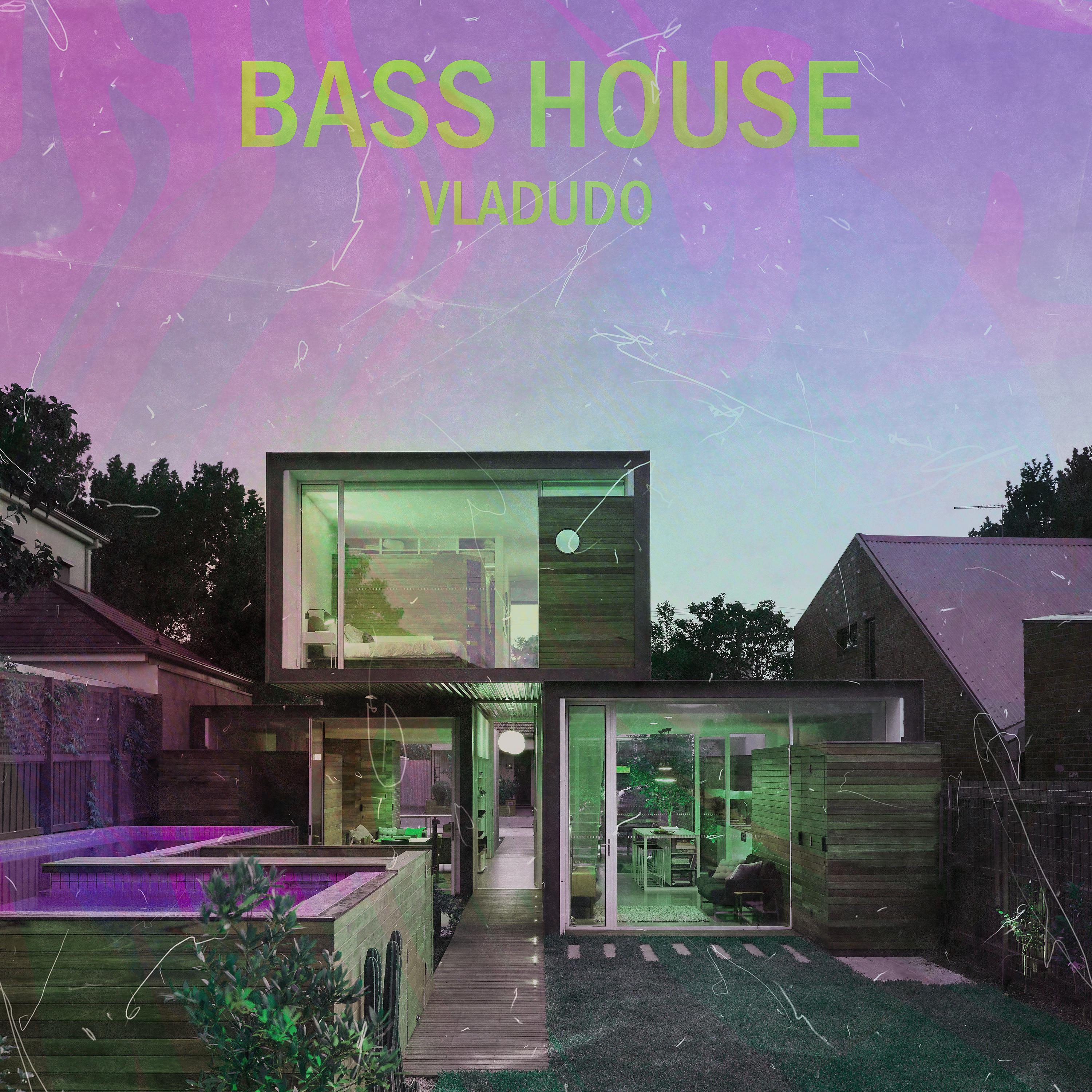 Постер альбома Bass House