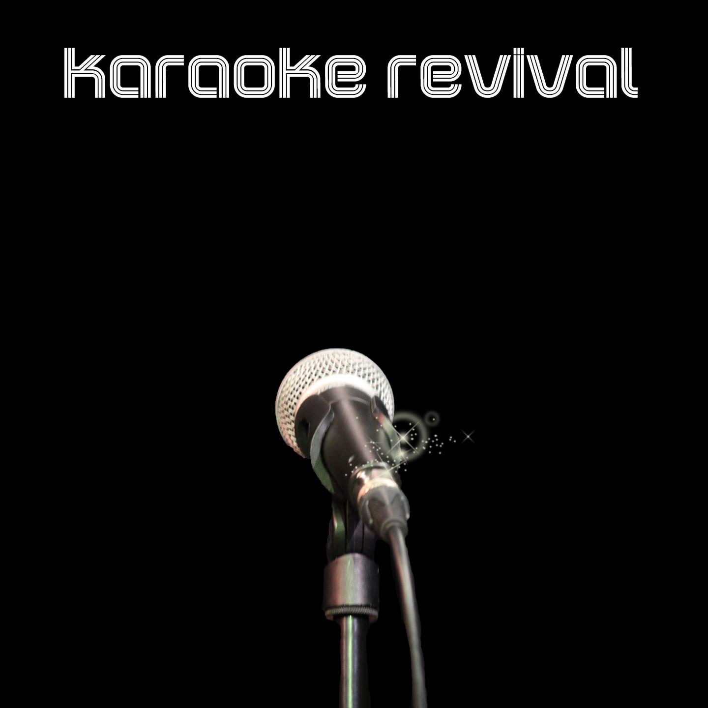 Постер альбома Karaoke Revival
