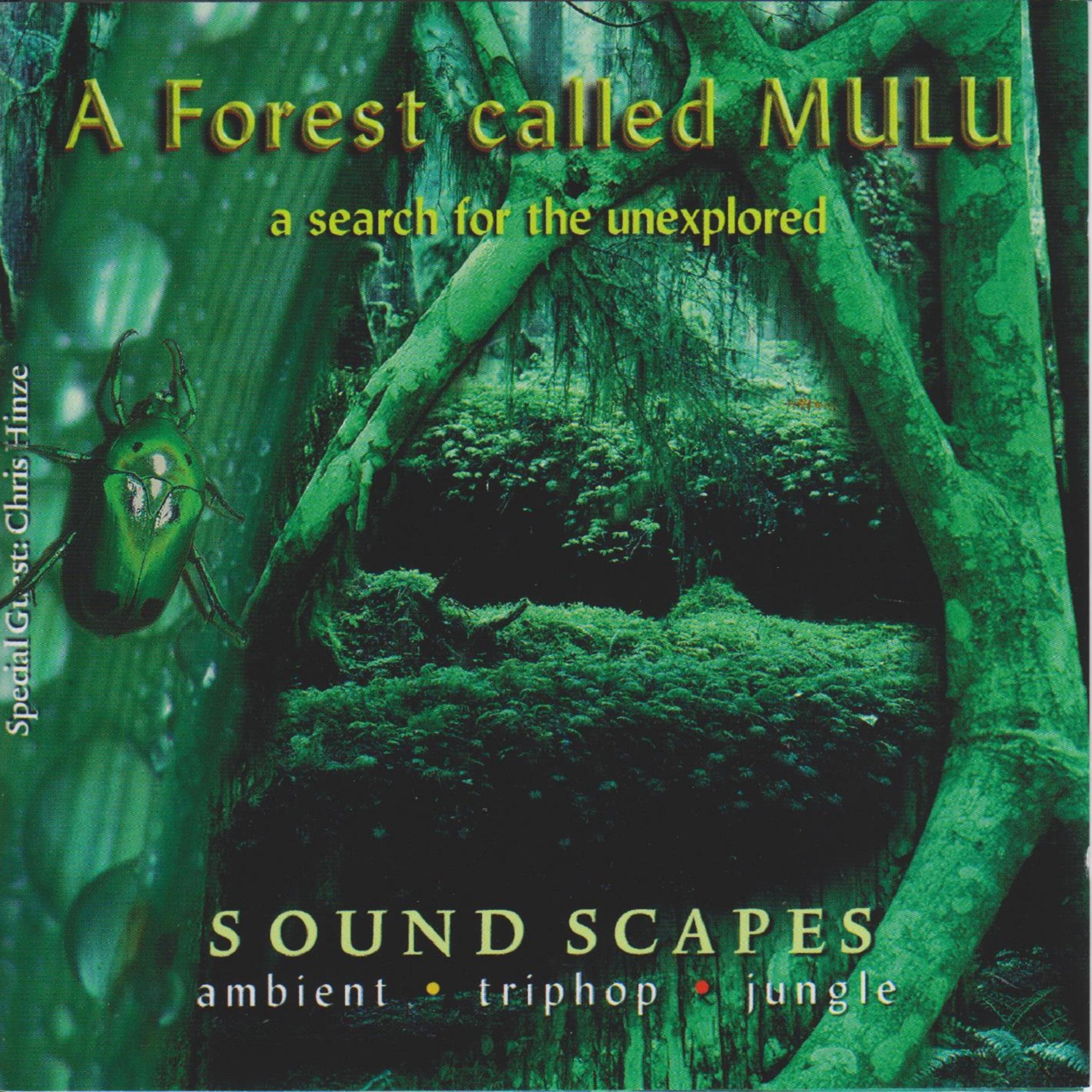 Постер альбома A Forest Called Mulu