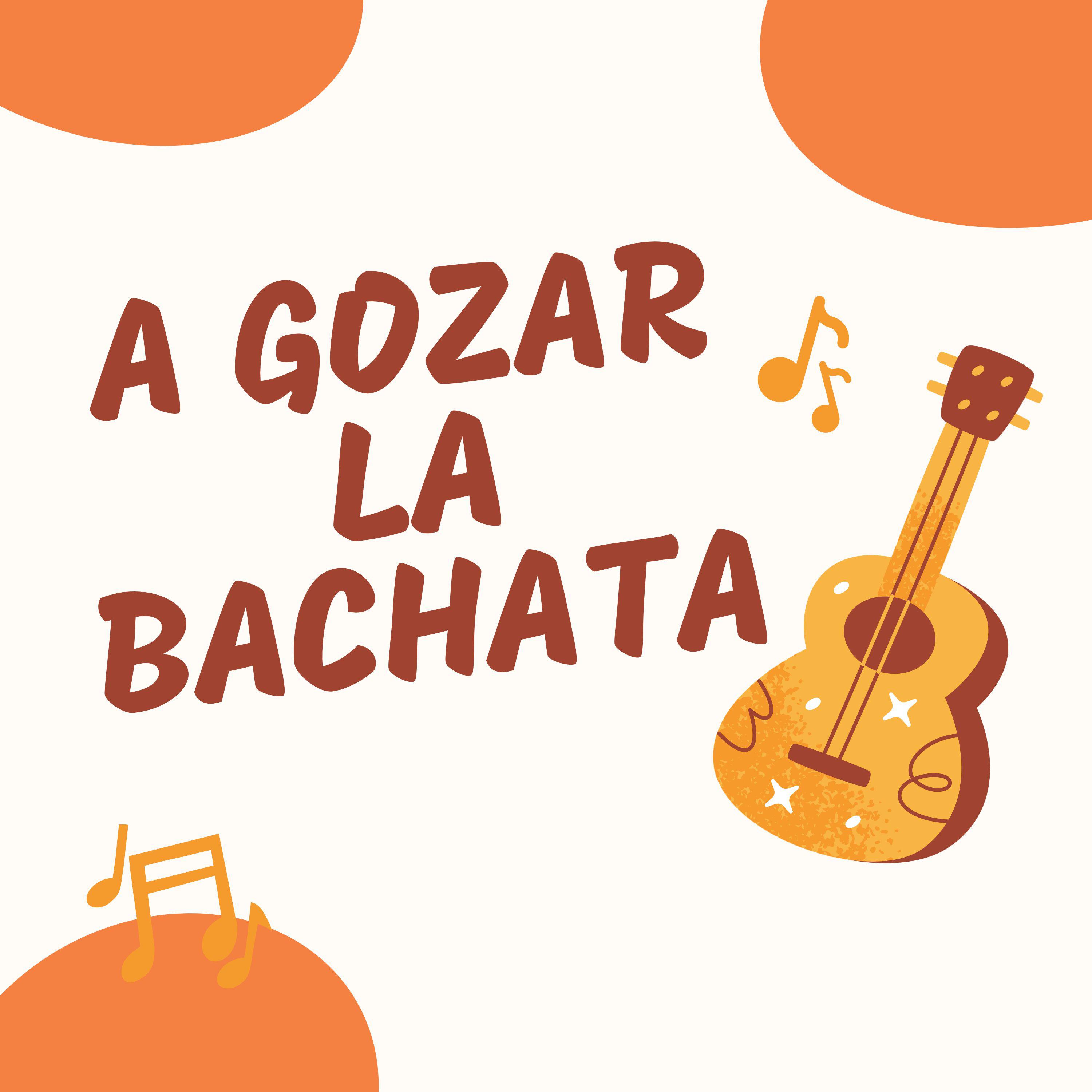 Постер альбома A gozar la Bachata