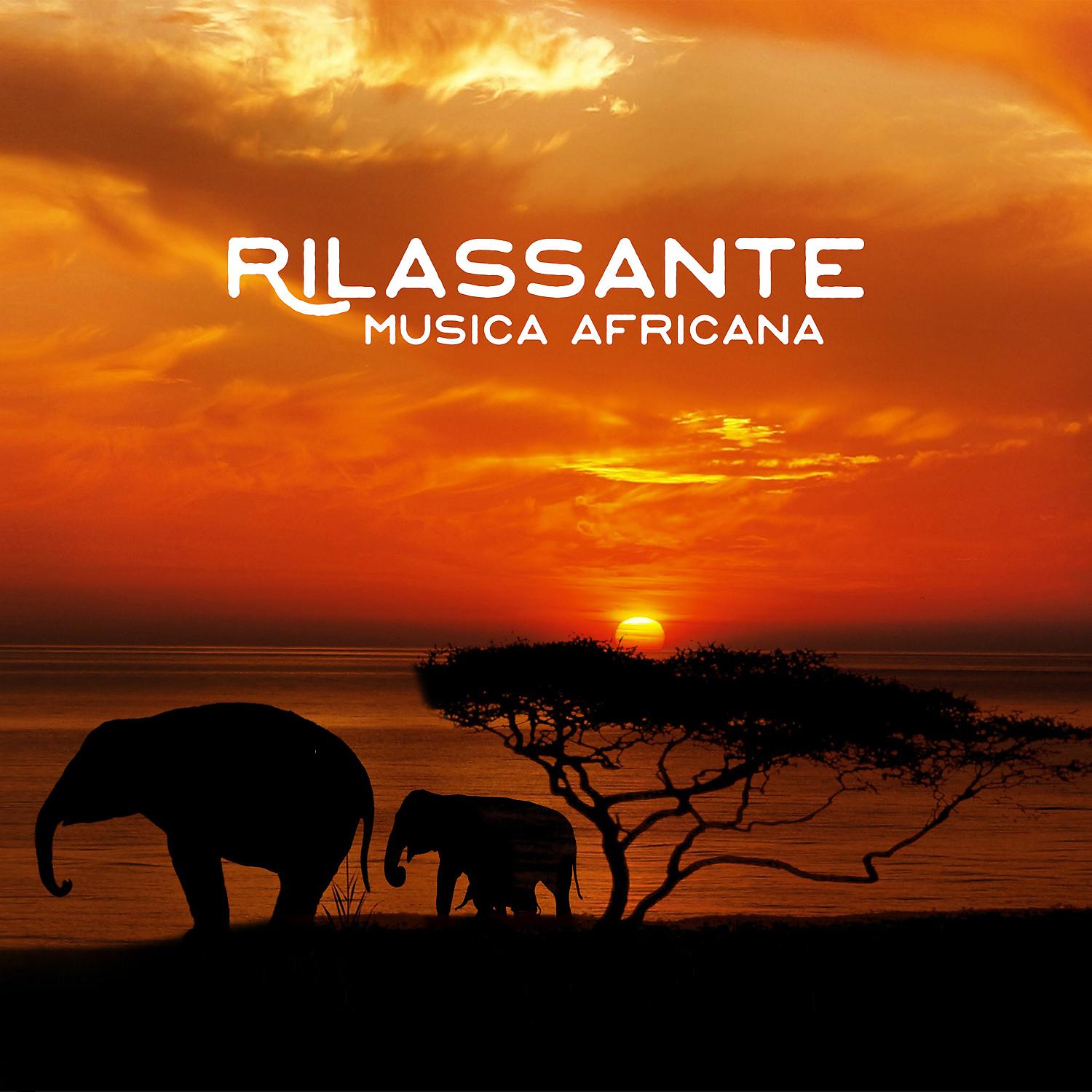 Постер альбома Rilassante musica africana: Suoni tribali africani tradizionali, Esperienza etnica