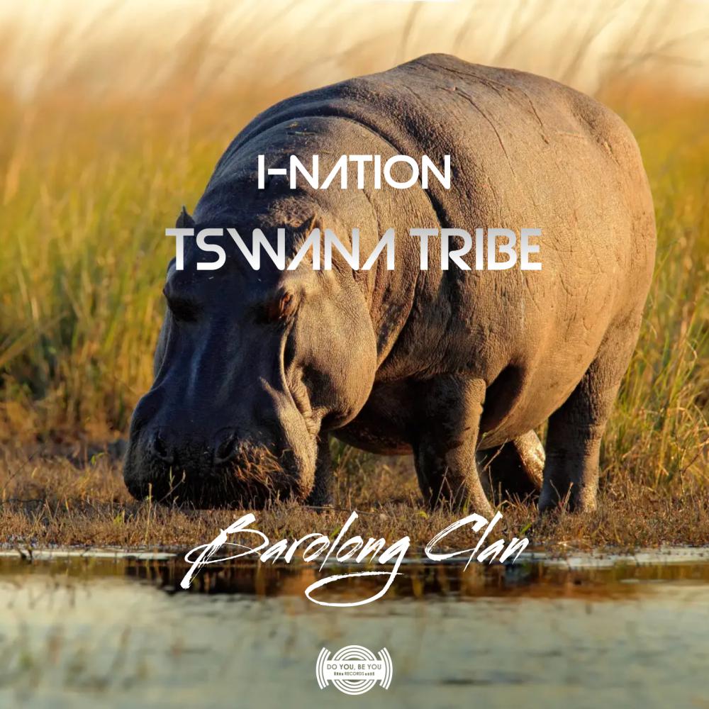 Постер альбома Tswana Tribe (Barolong Clan Mix)