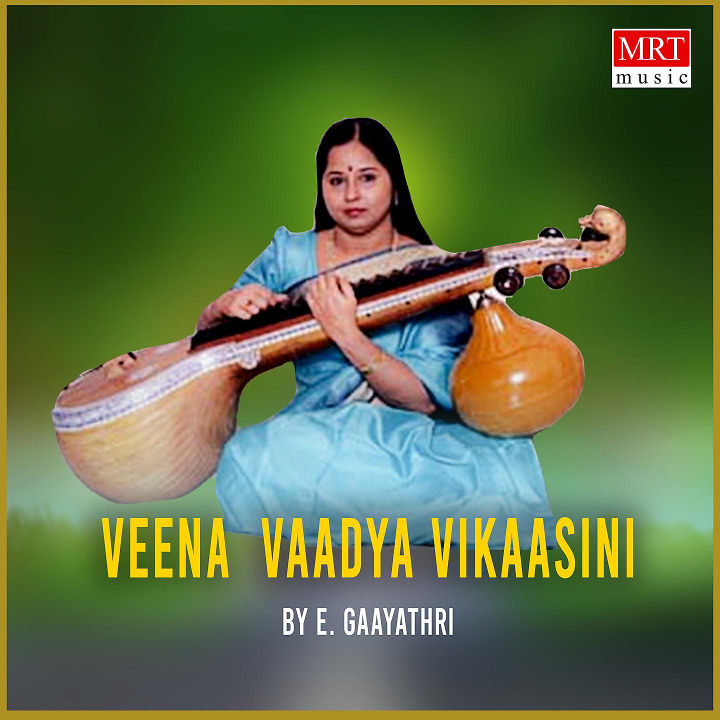 Постер альбома Veena Vaadya Vikaasini