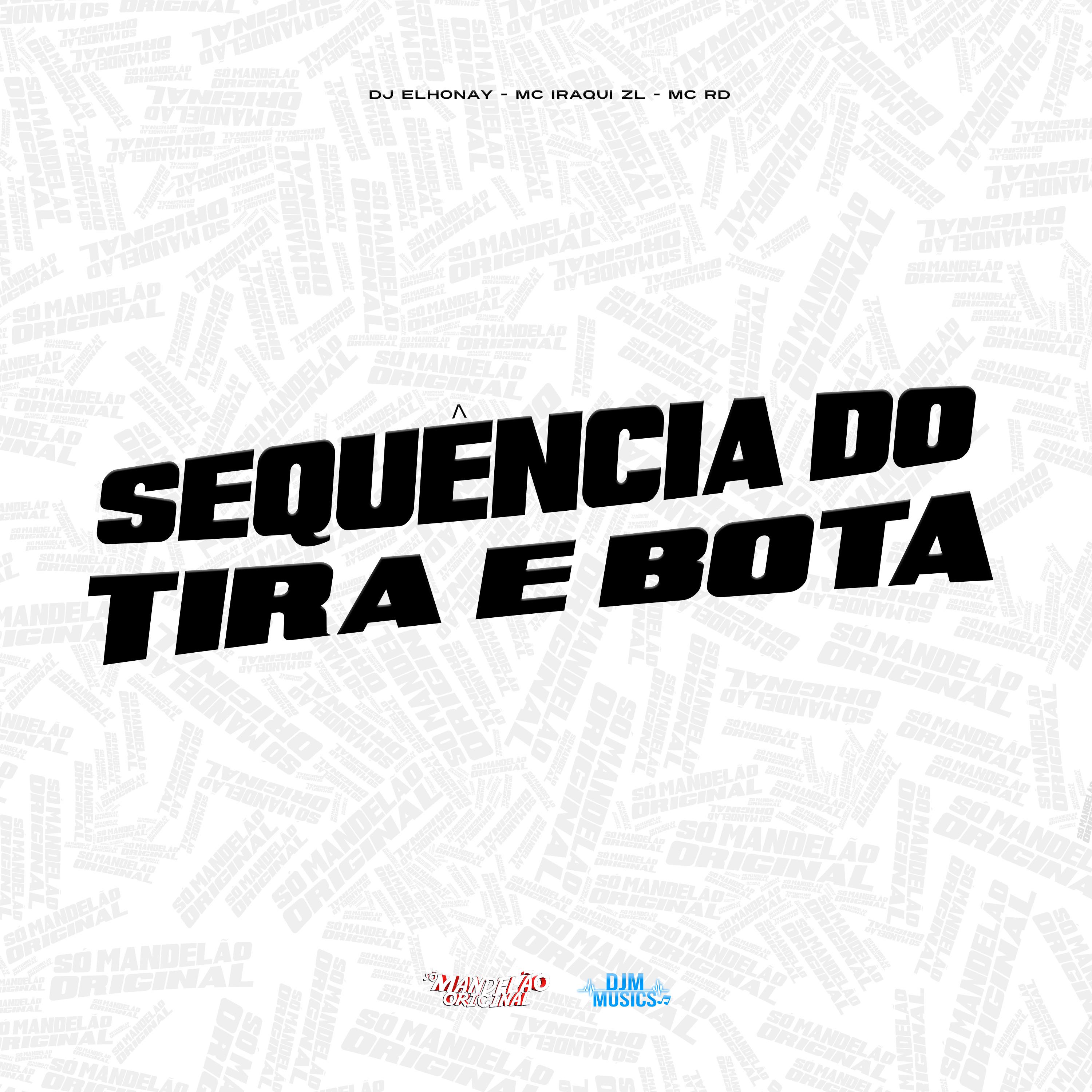 Постер альбома Sequência do Tira e Bota