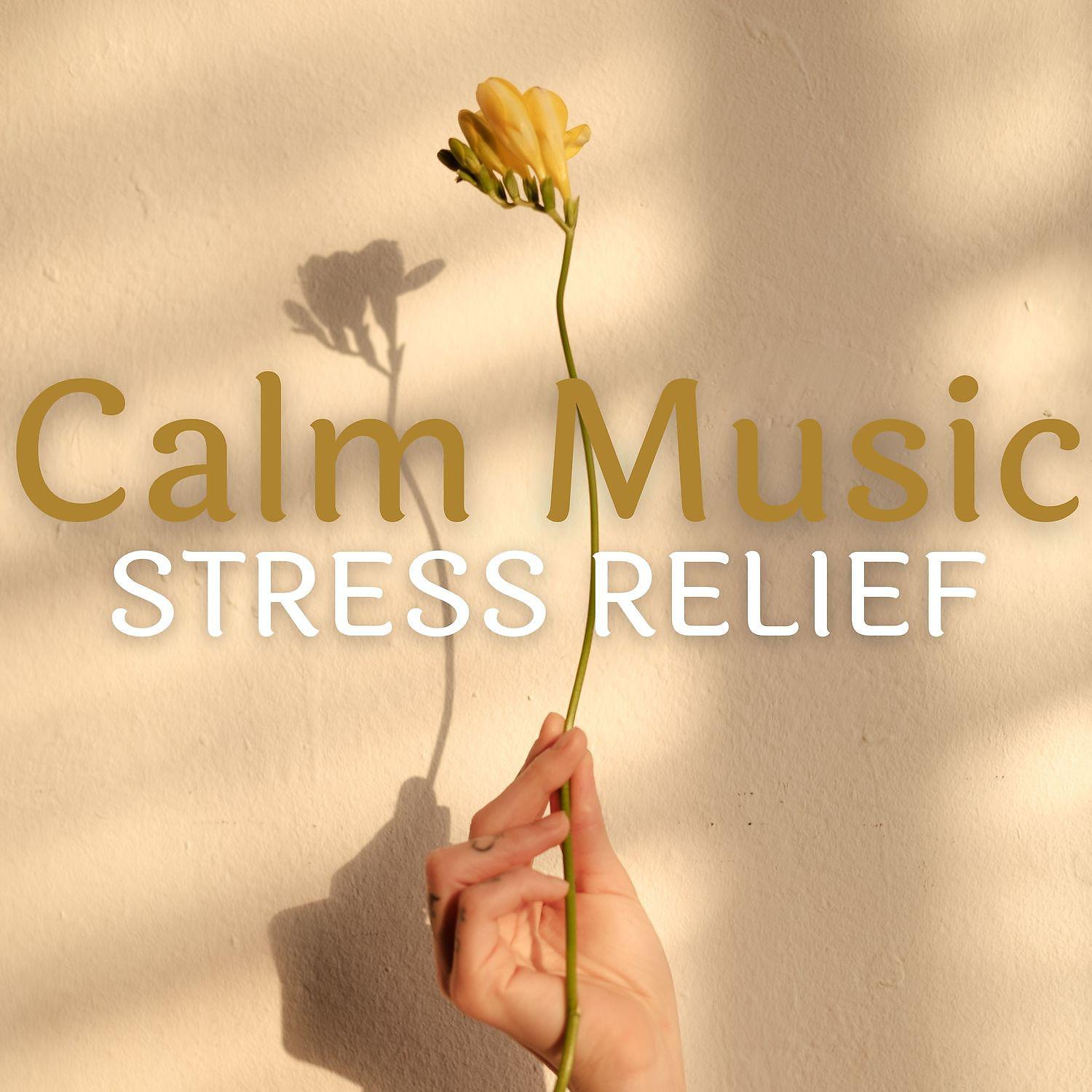 Постер альбома Calm Music For Stress Relief