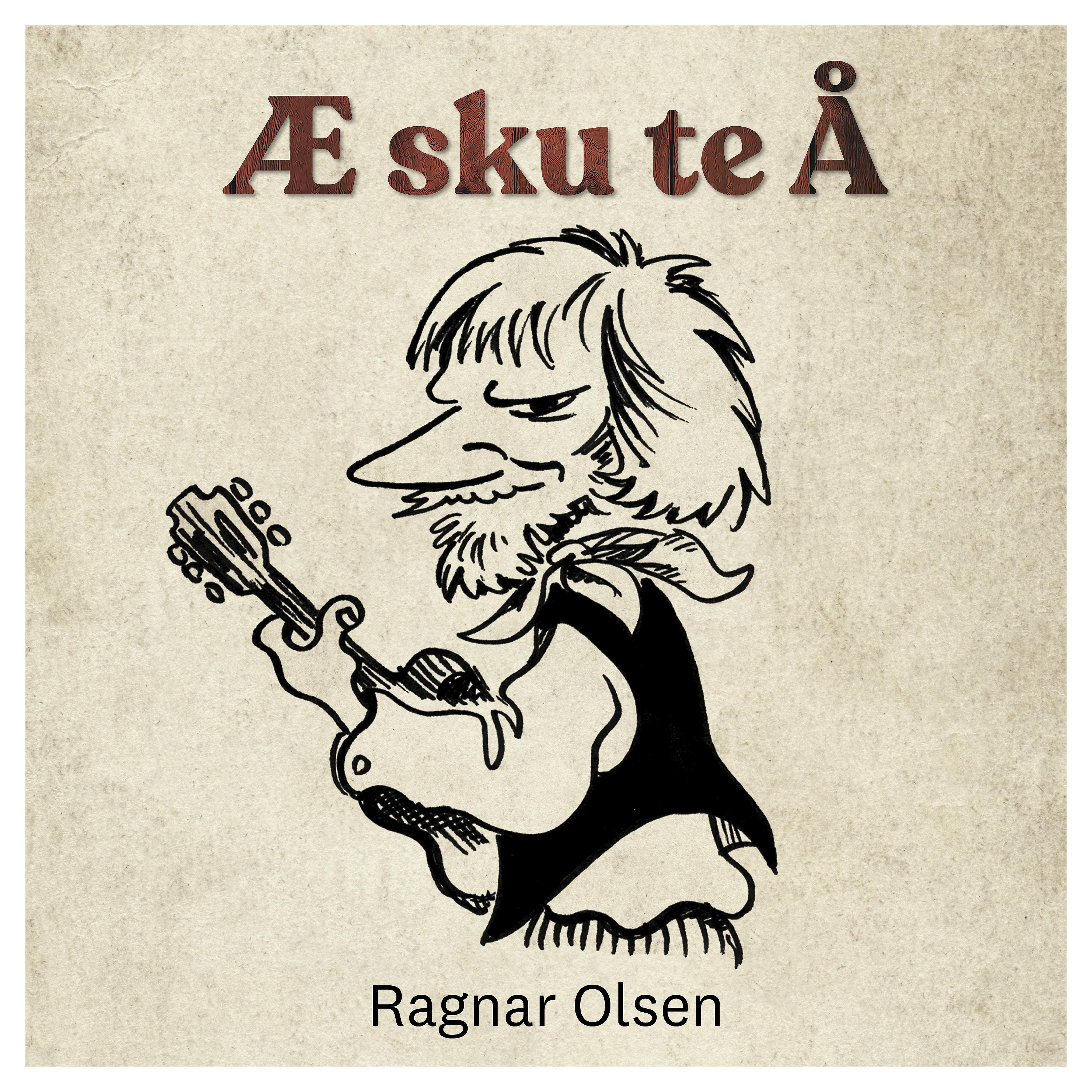 Постер альбома Æ sku te Å