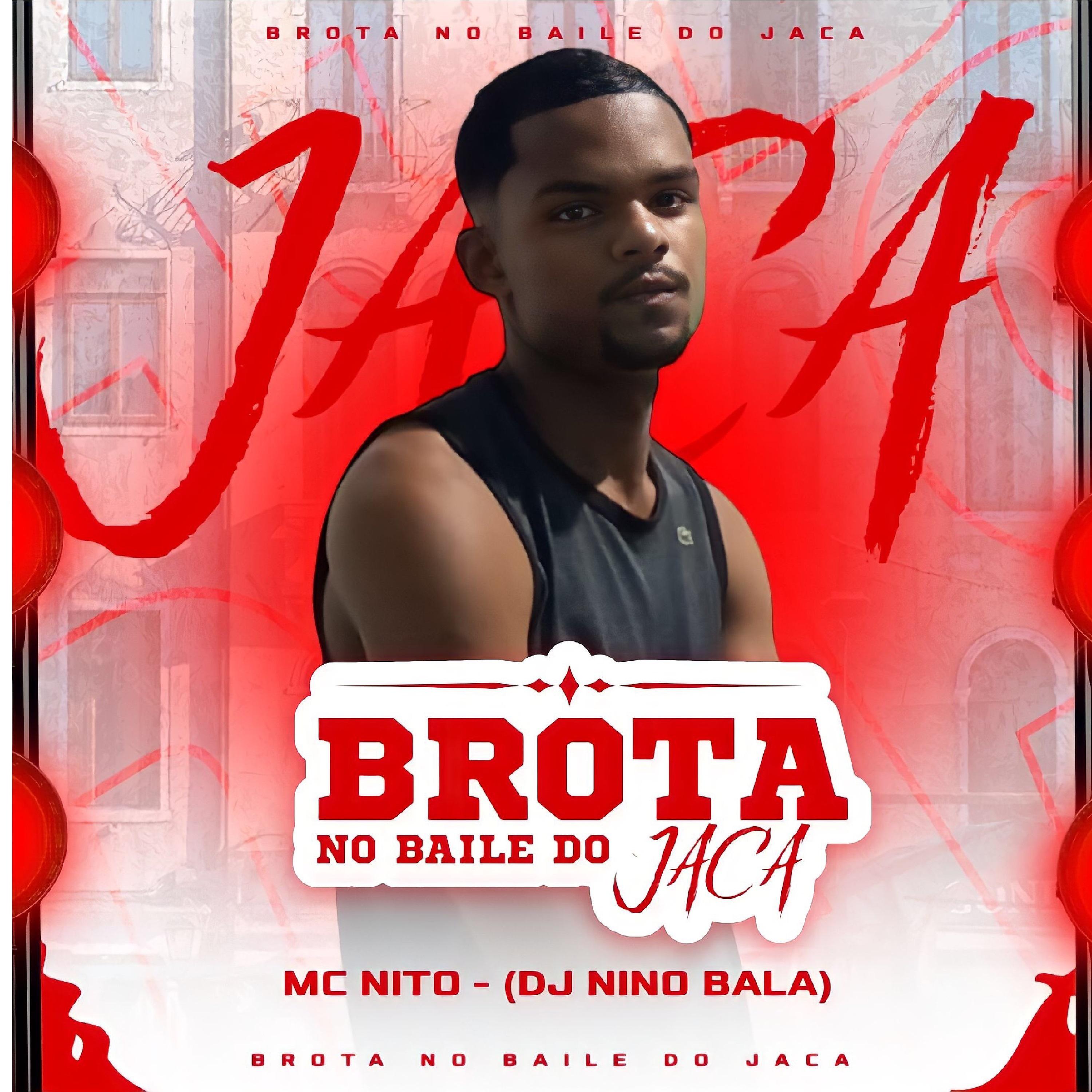 Постер альбома Brota no Baile do Jaca