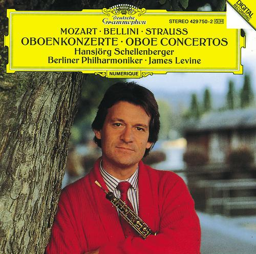 Постер альбома Mozart / Bellini / R. Strauss: Oboe Concertos