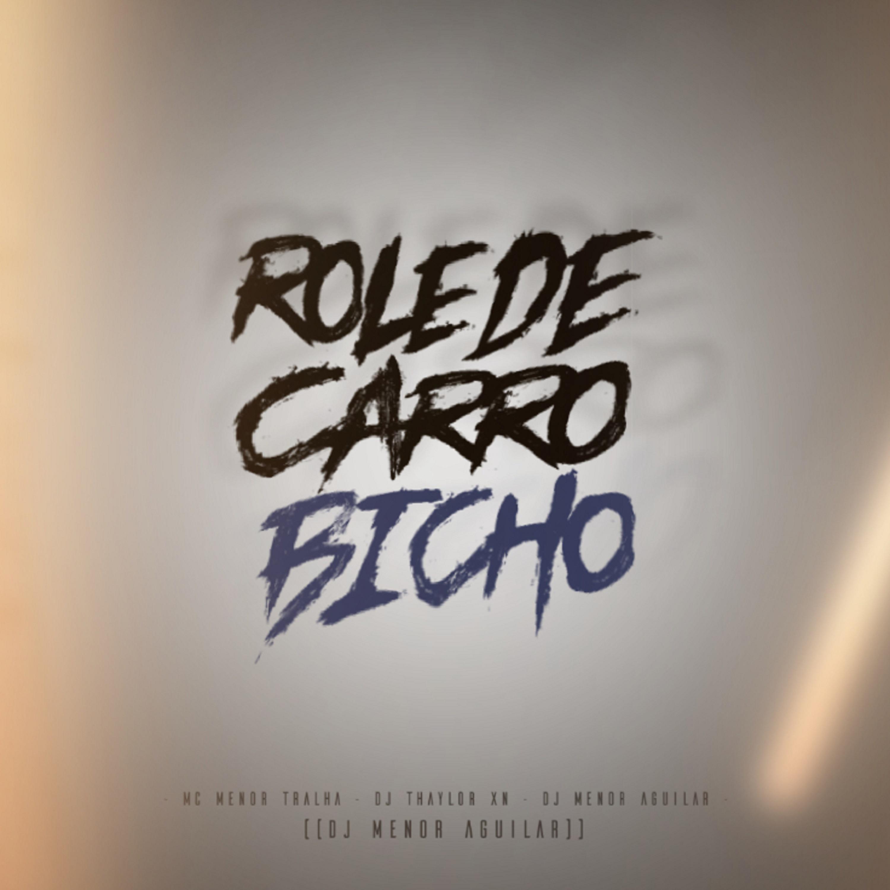 Постер альбома Rolê de Carro Bicho