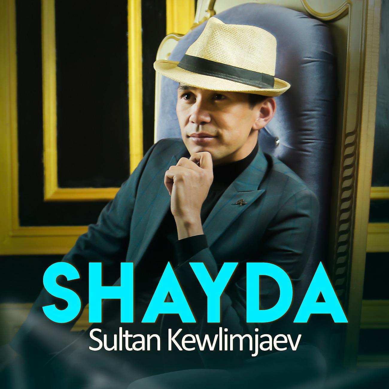 Постер альбома Shayda
