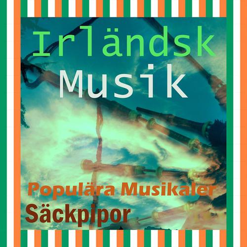 Постер альбома Irländsk musik