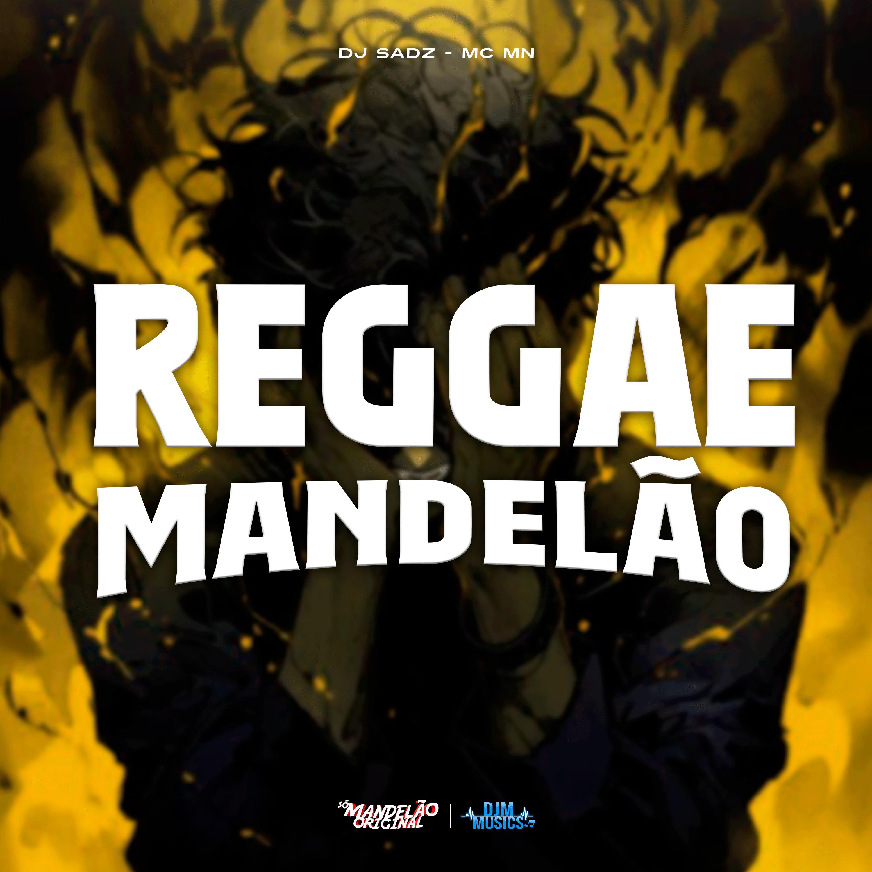Постер альбома Reggae Mandelão