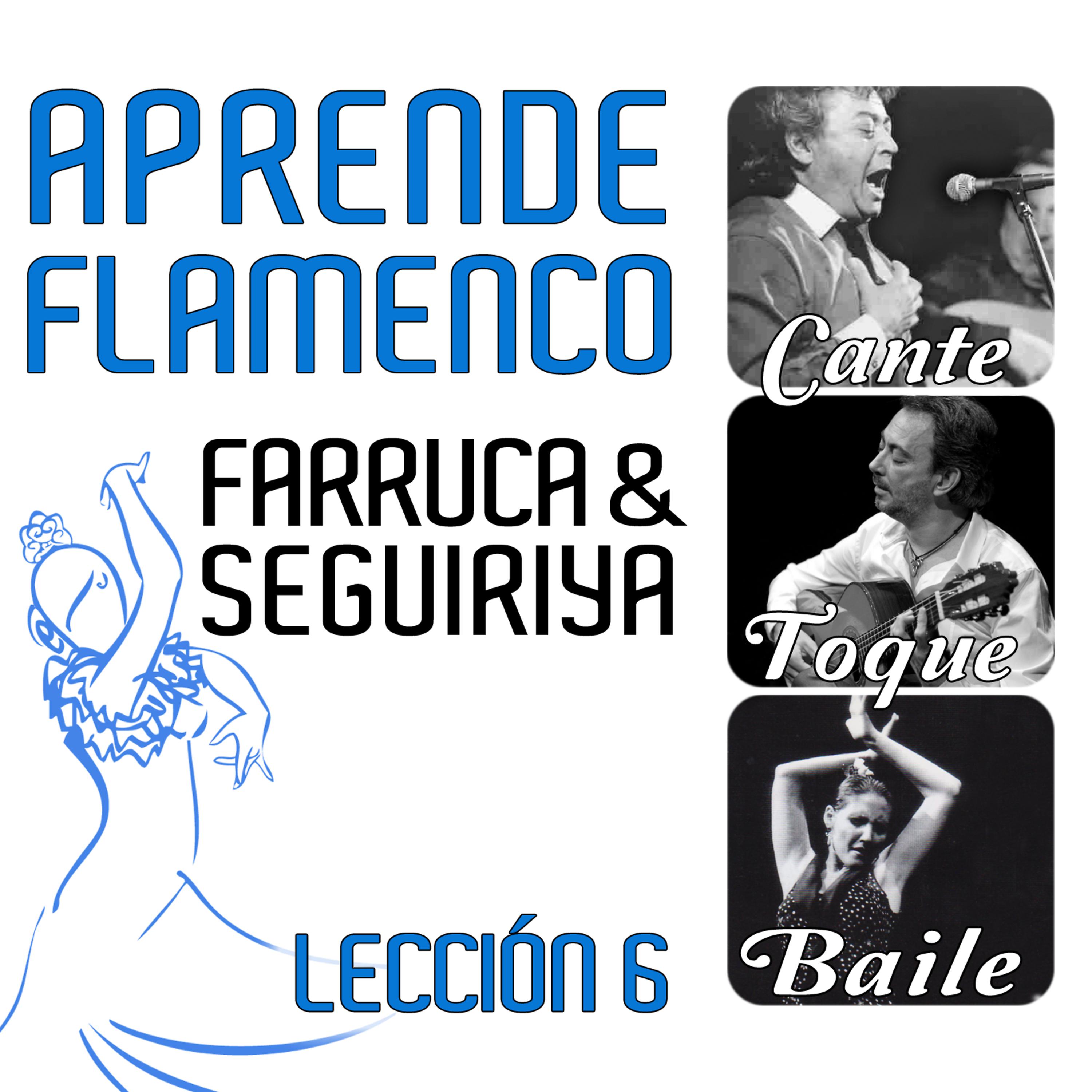 Постер альбома Aprende Flamenco. Farruca y Seguiriya: Lección 6