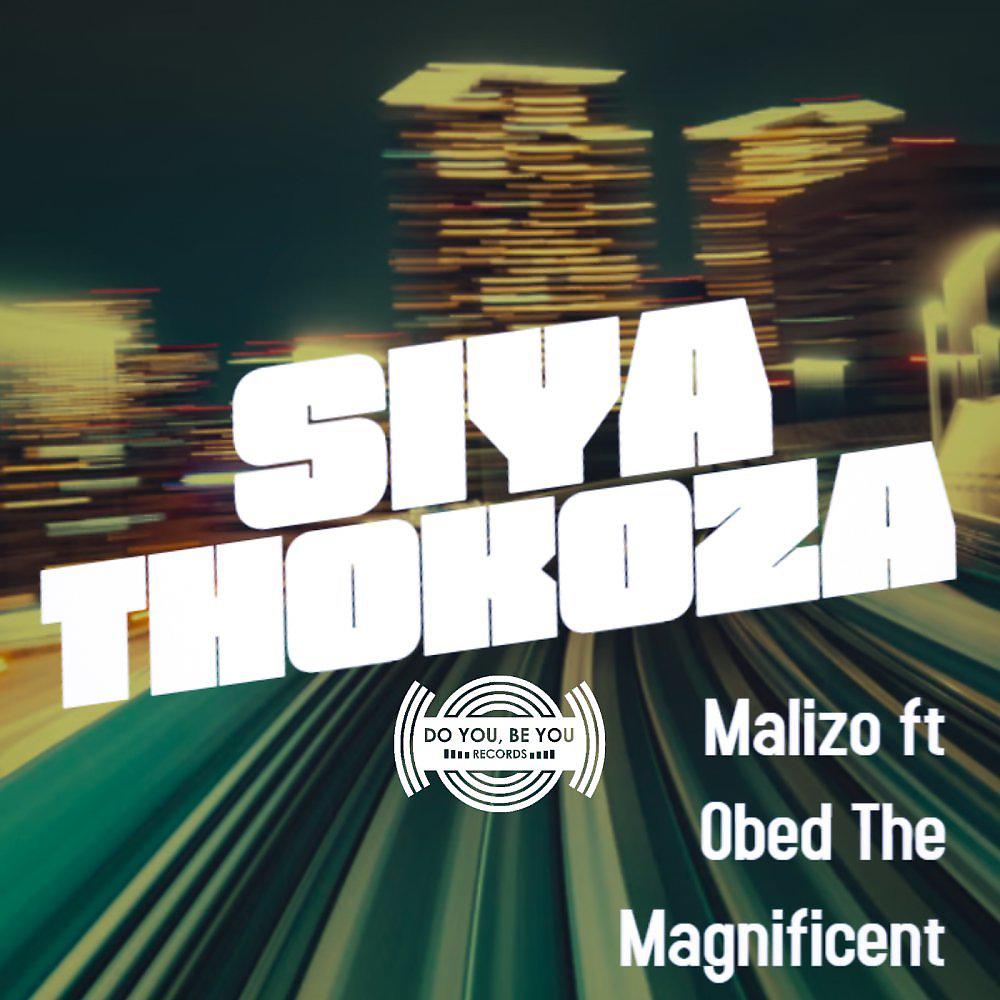 Постер альбома Siyathokoza