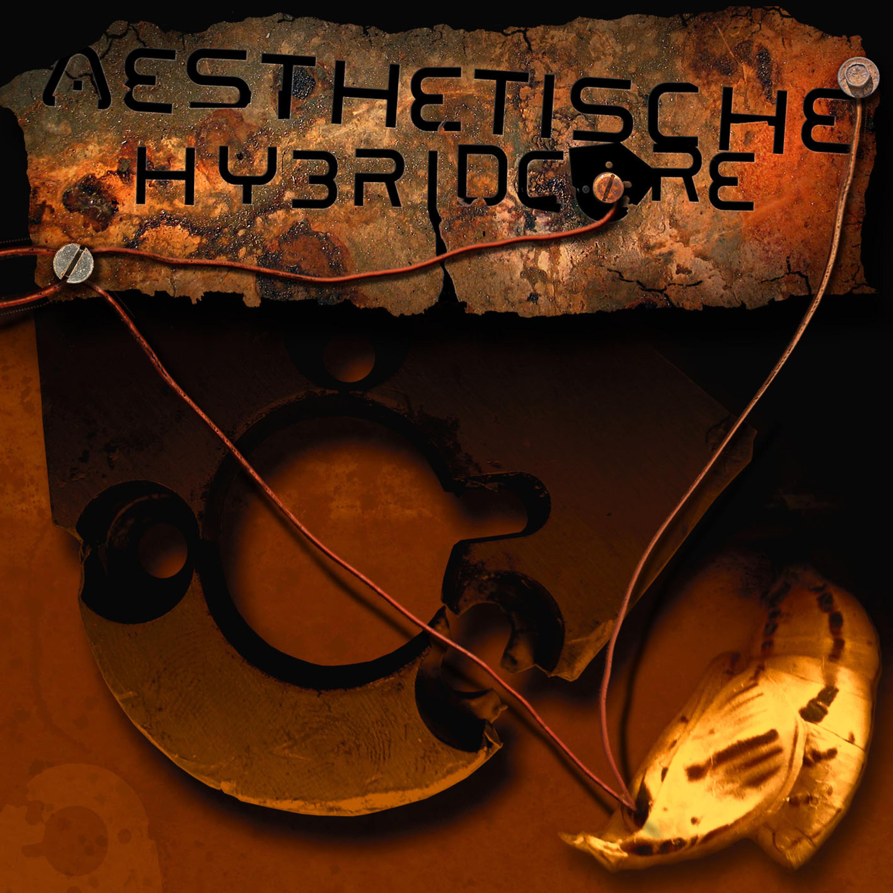 Постер альбома Hybridcore