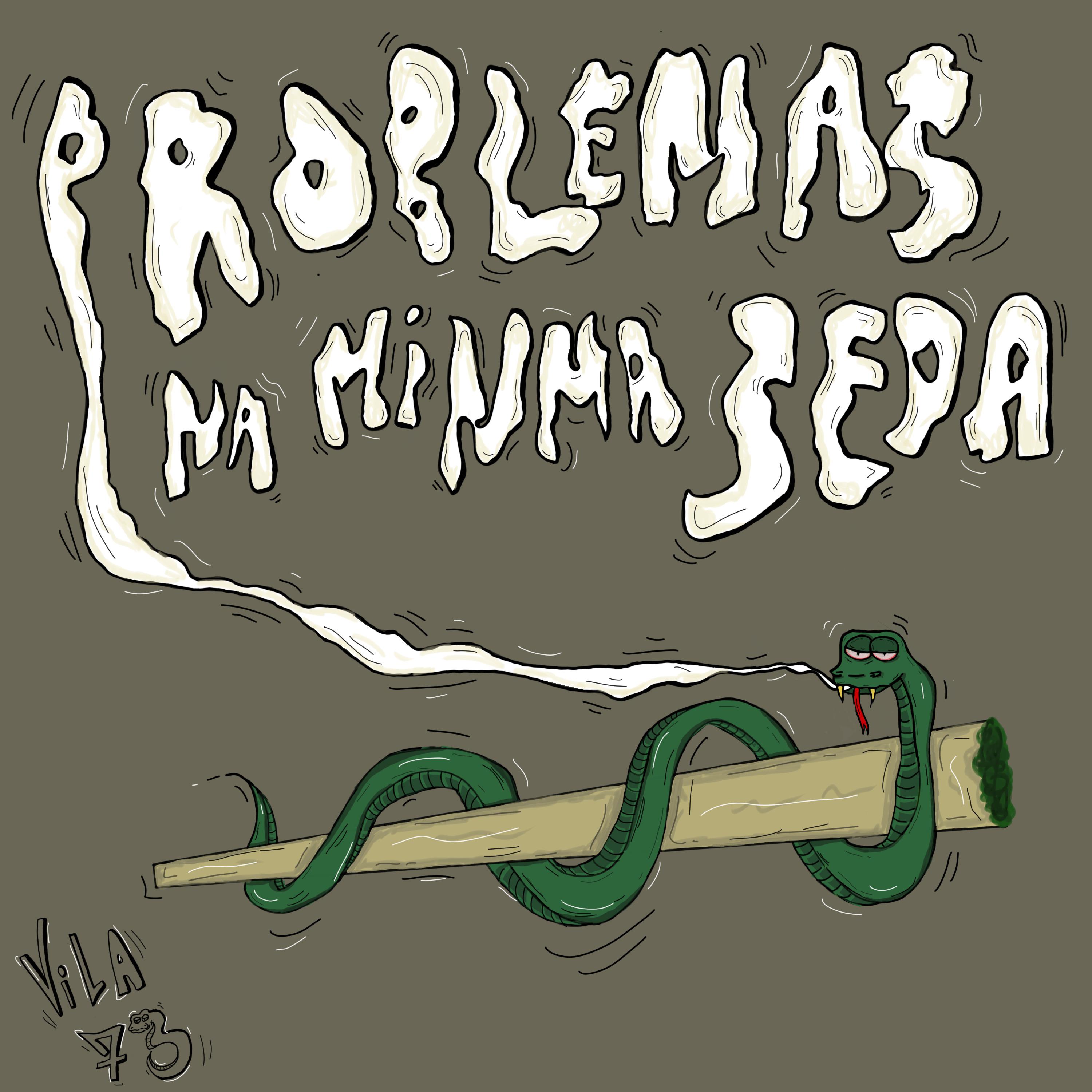 Постер альбома Problemas na Minha Seda