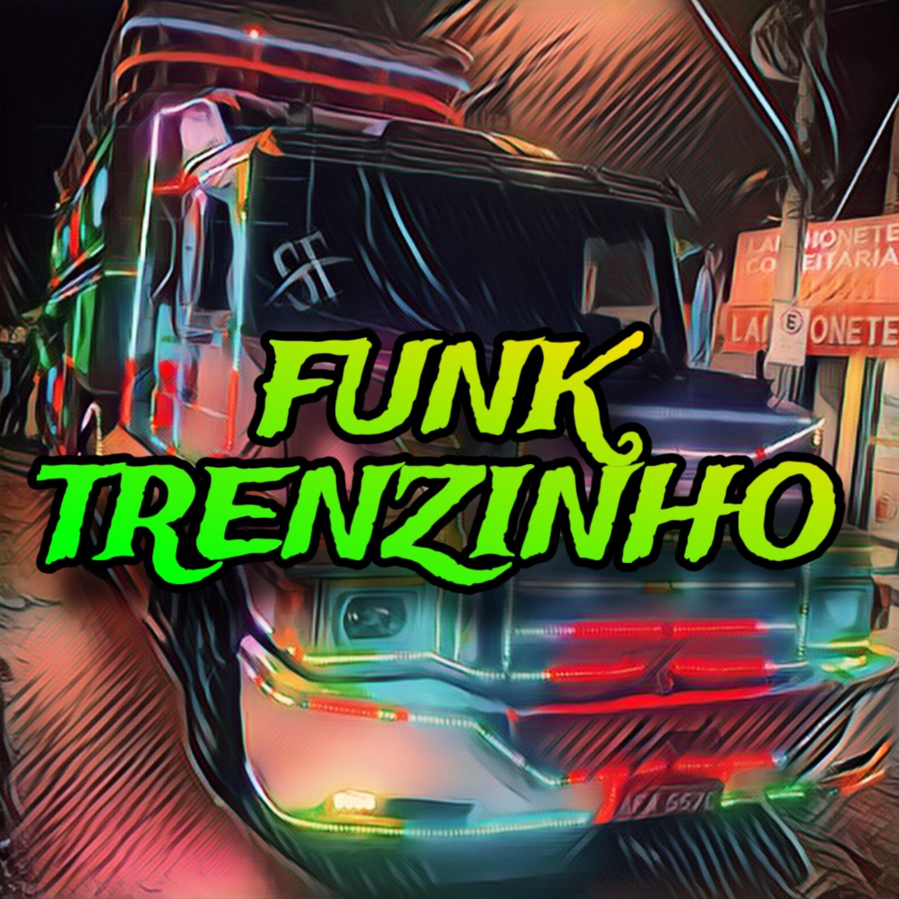 Постер альбома Funk Trenzinho