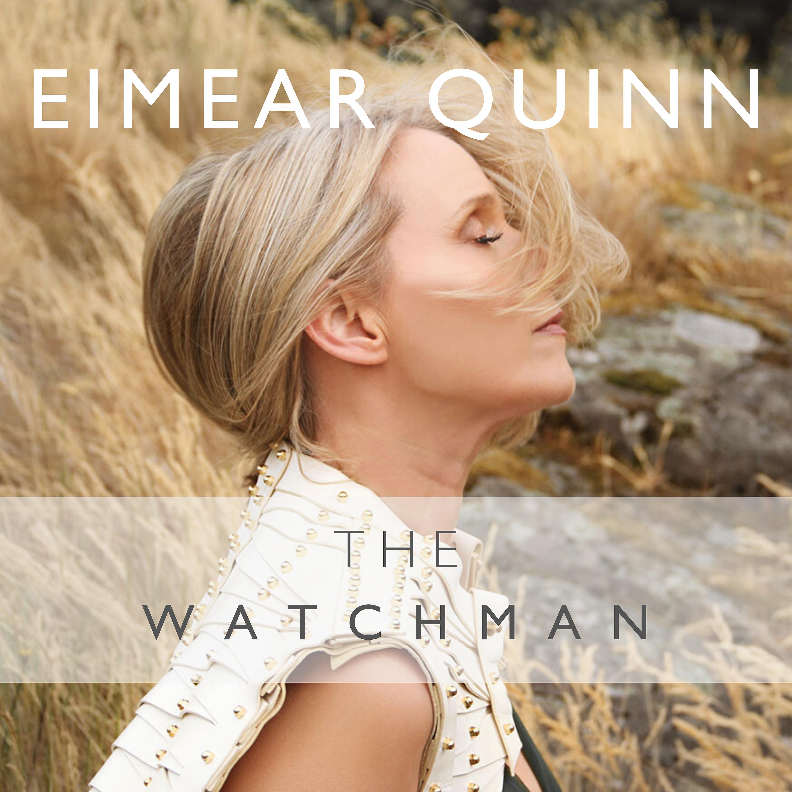 Постер альбома The Watchman