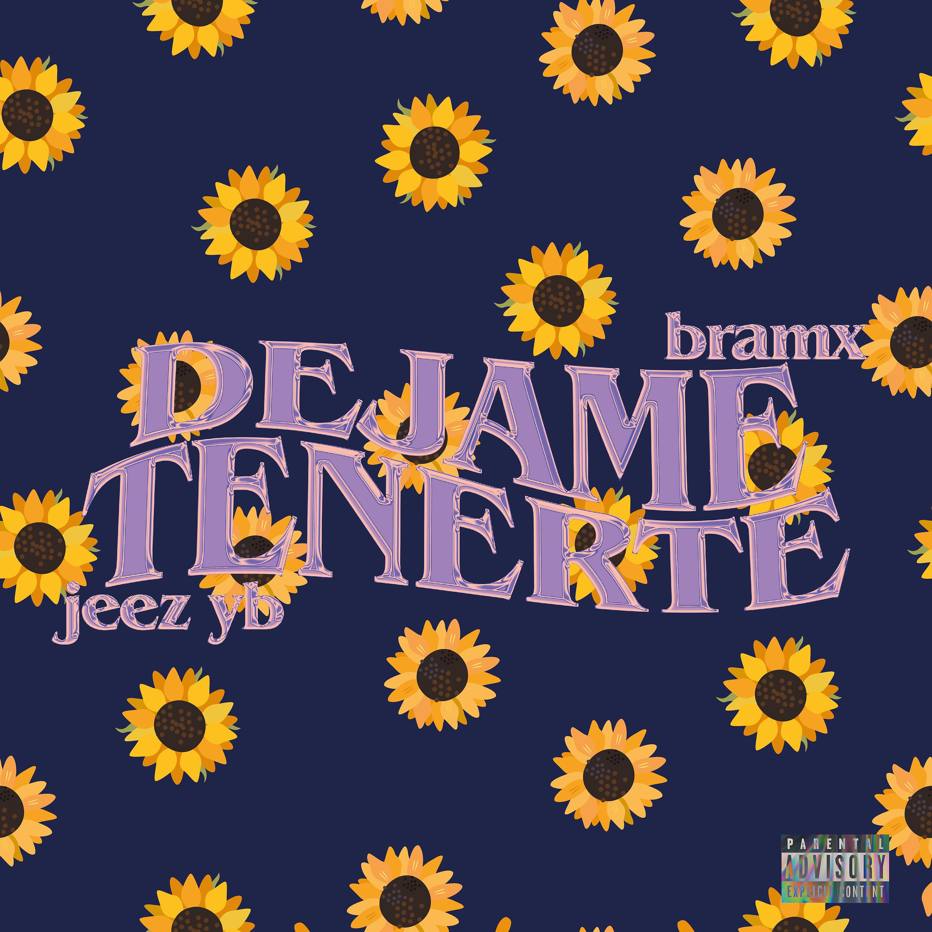 Постер альбома Dejame Tenerte