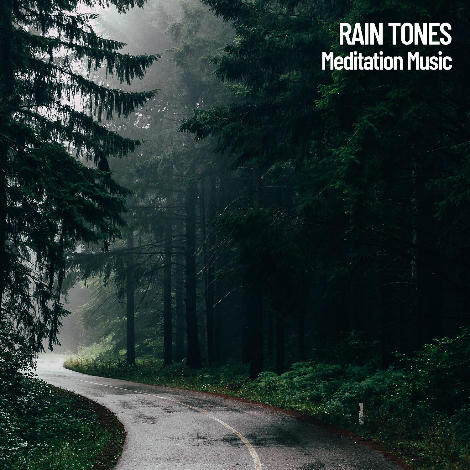 Постер альбома Rain Tones: Meditation Music, Relaxing Water drops ASMR