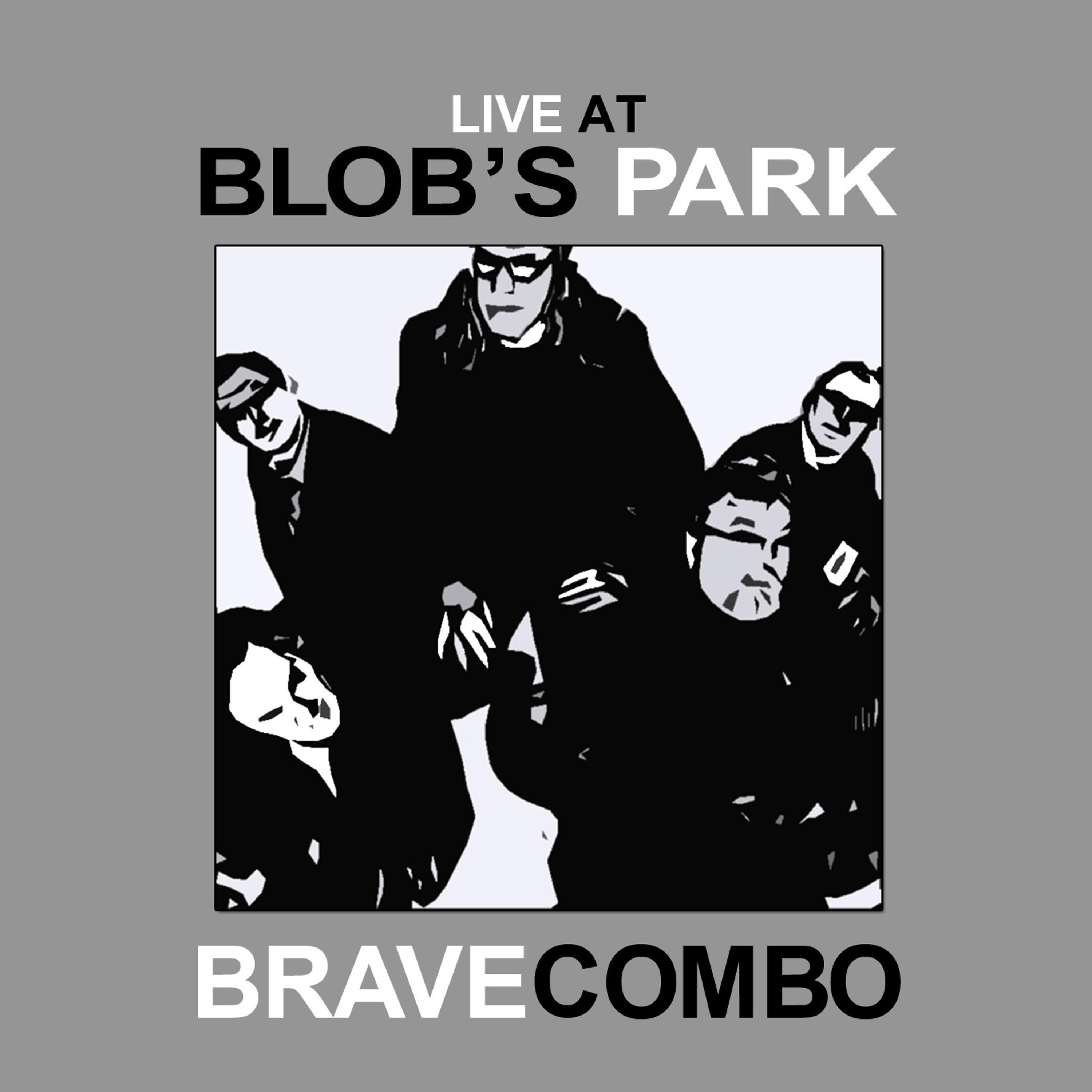 Постер альбома Live at Blob's Park